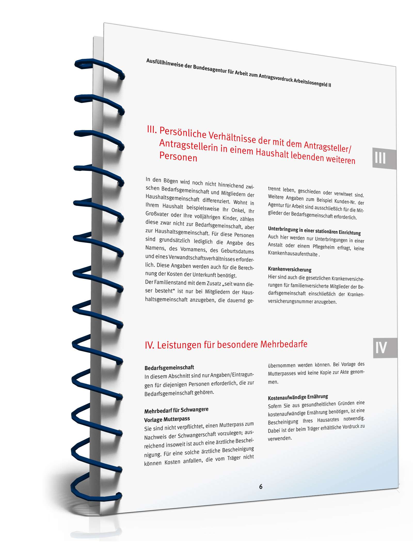 Ausfüllhinweise Antrag Bürgergeld PDF. Seite: 6