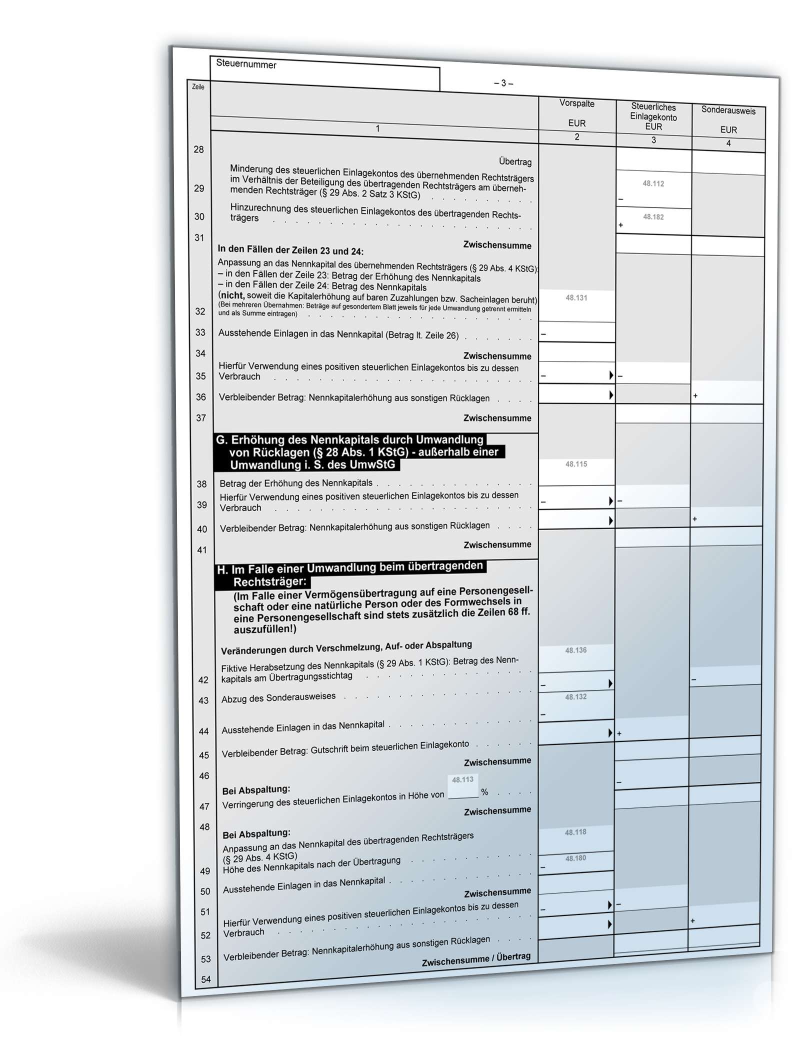Anlage Ermittlung des steuerlichen Einlagekontos 2010 PDF. Seite: 3