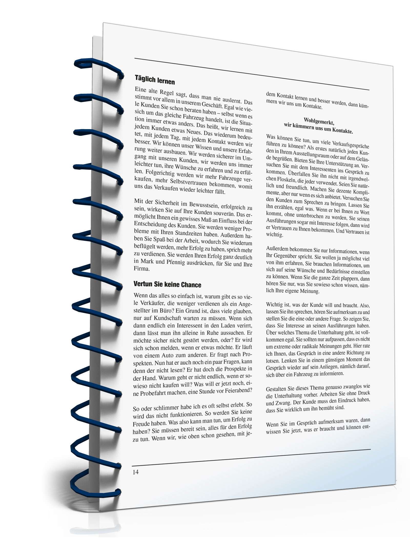 Automobile erfolgreich verkaufen PDF. Seite: 13