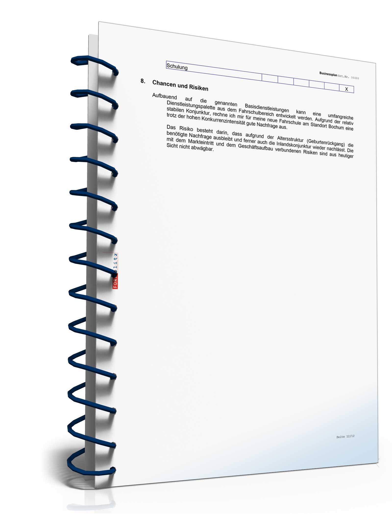 Businessplan Fahrschule Excel. Seite: 13