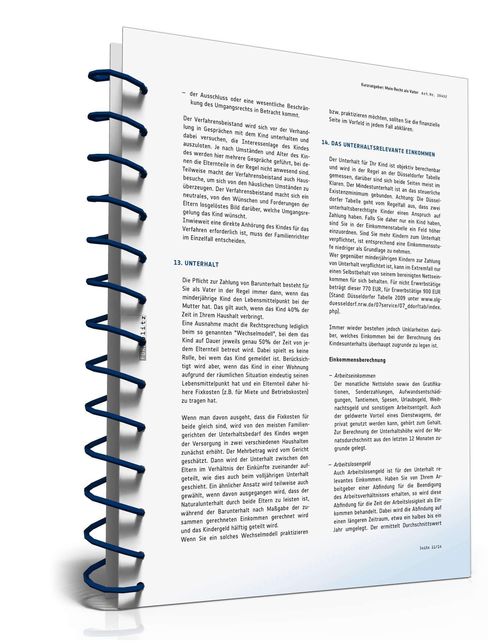 Mein Recht als Vater PDF. Seite: 11