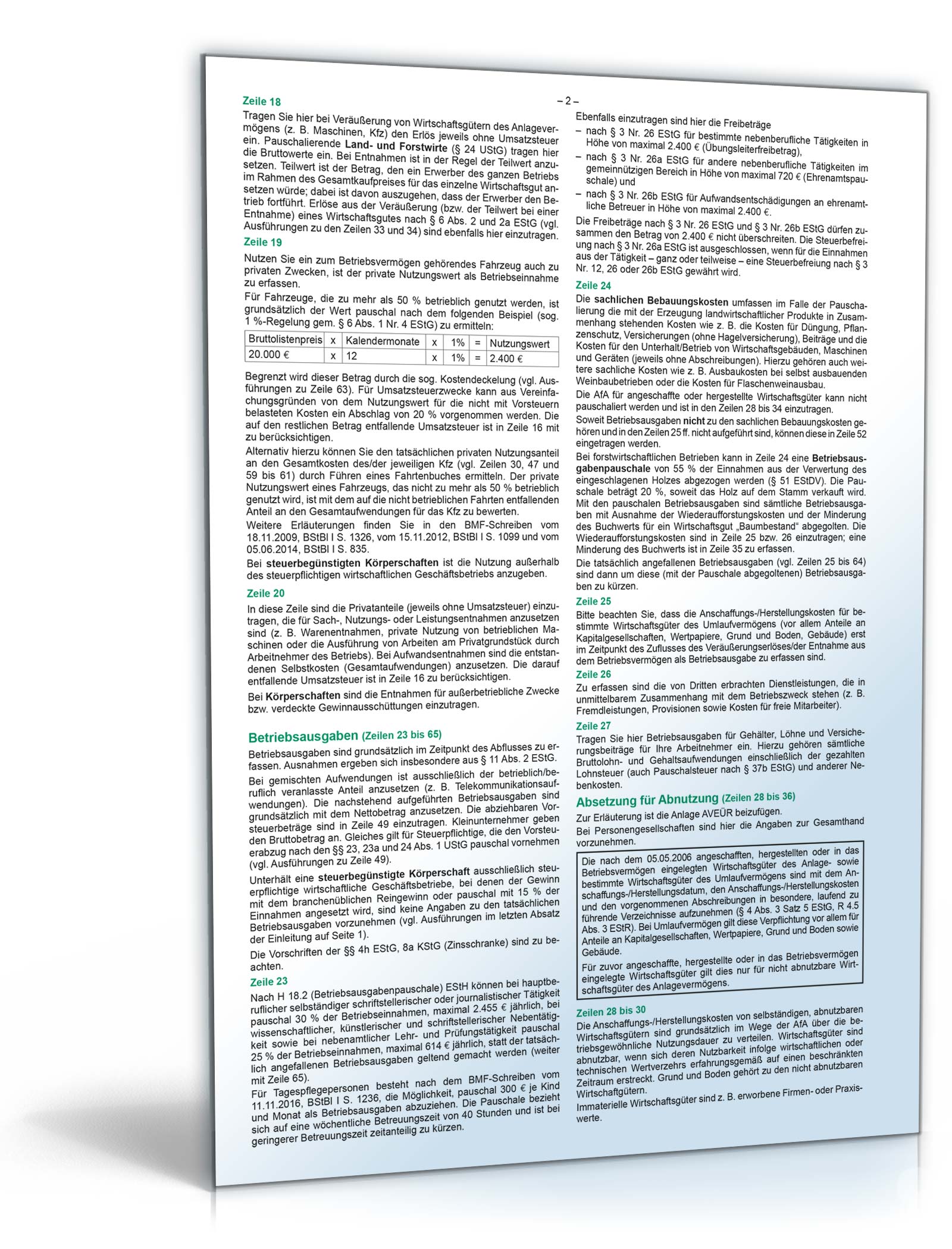 Anleitung zur Anlage EÜR 2017 PDF. Seite: 2