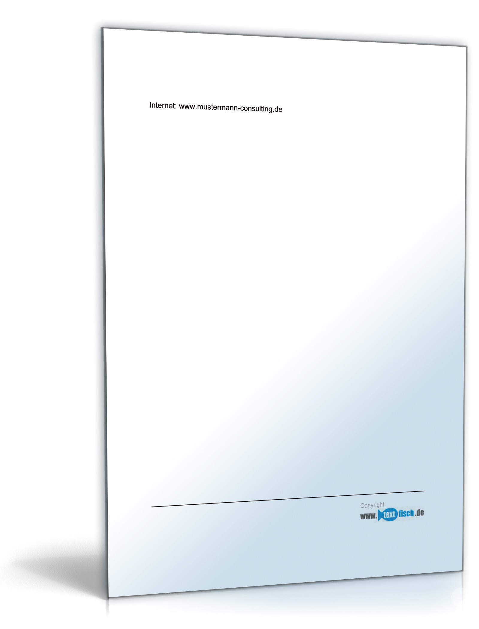 Werbebrief für einen IT-Consultant  PDF. Seite: 2