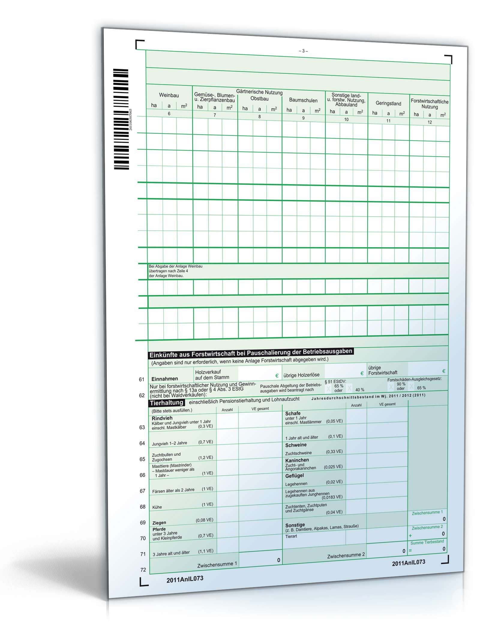 Anlage L 2011 PDF. Seite: 3