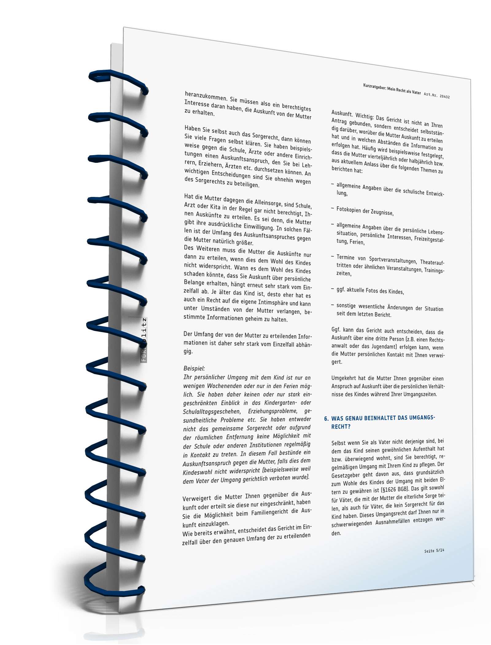 Mein Recht als Vater PDF. Seite: 5