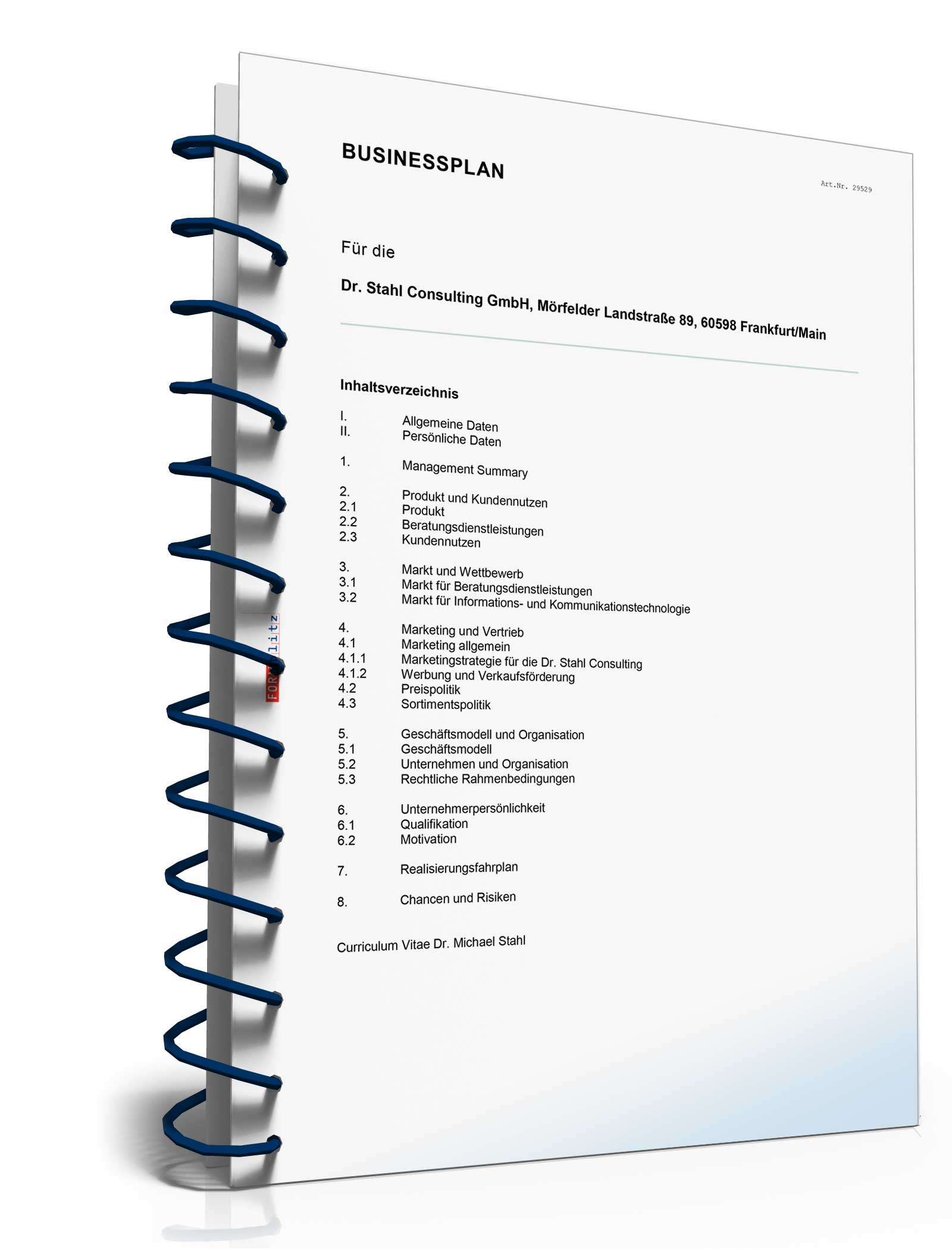 Businessplan Unternehmensberatung Excel. Seite: 4