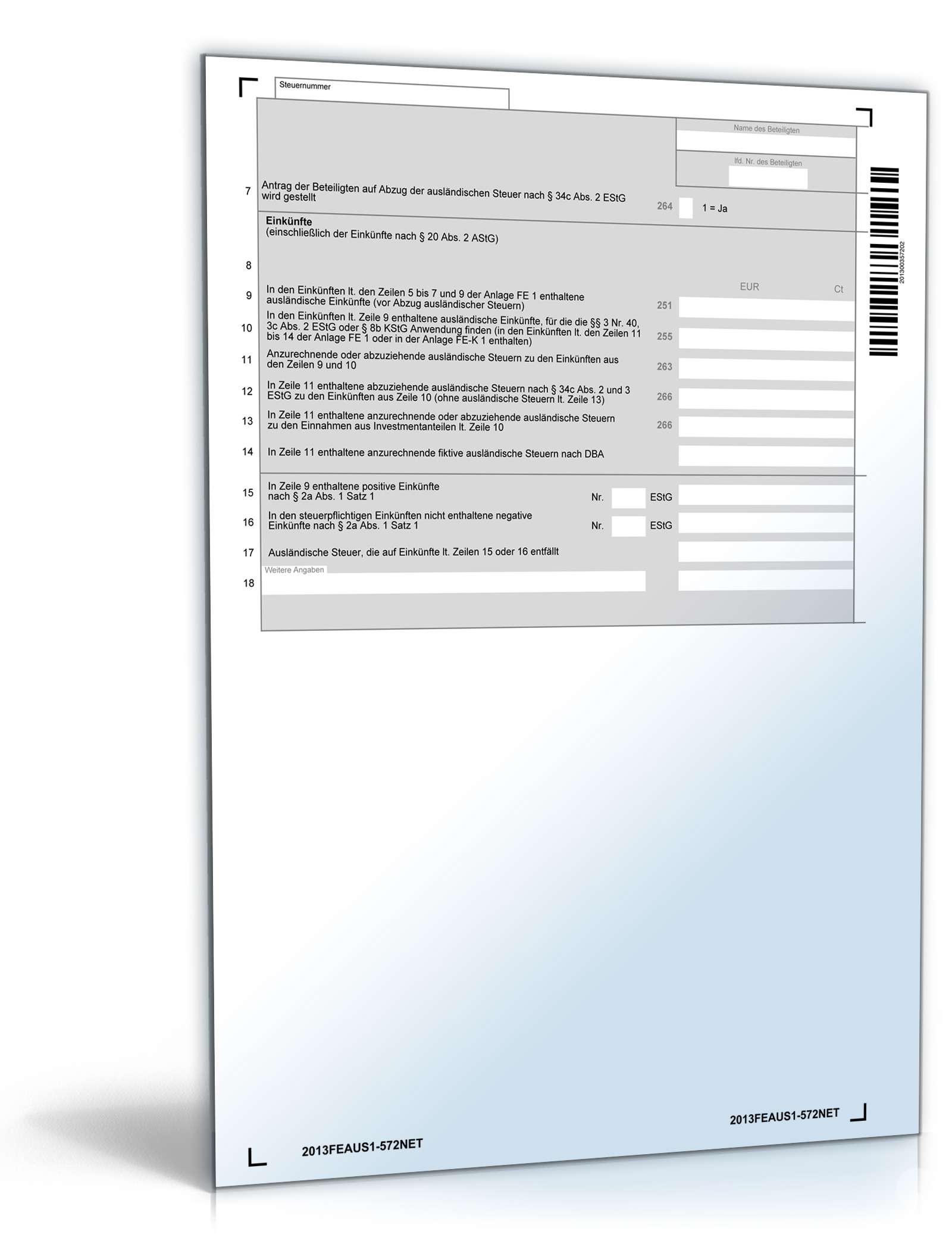 Anlage FE-AUS1 2013 PDF. Seite: 2