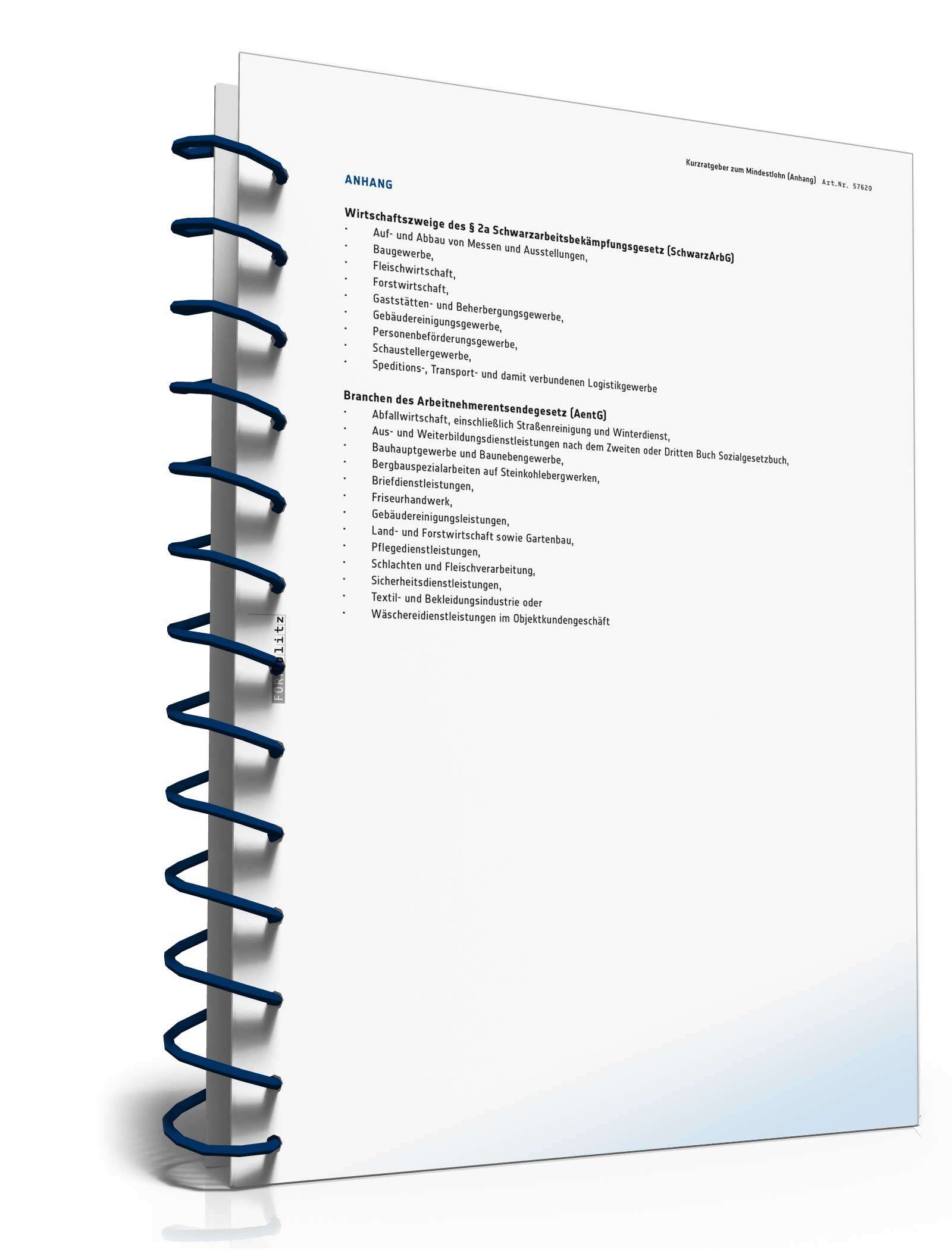 Die wichtigsten Erläuterungen zum MiLoG PDF. Seite: 9