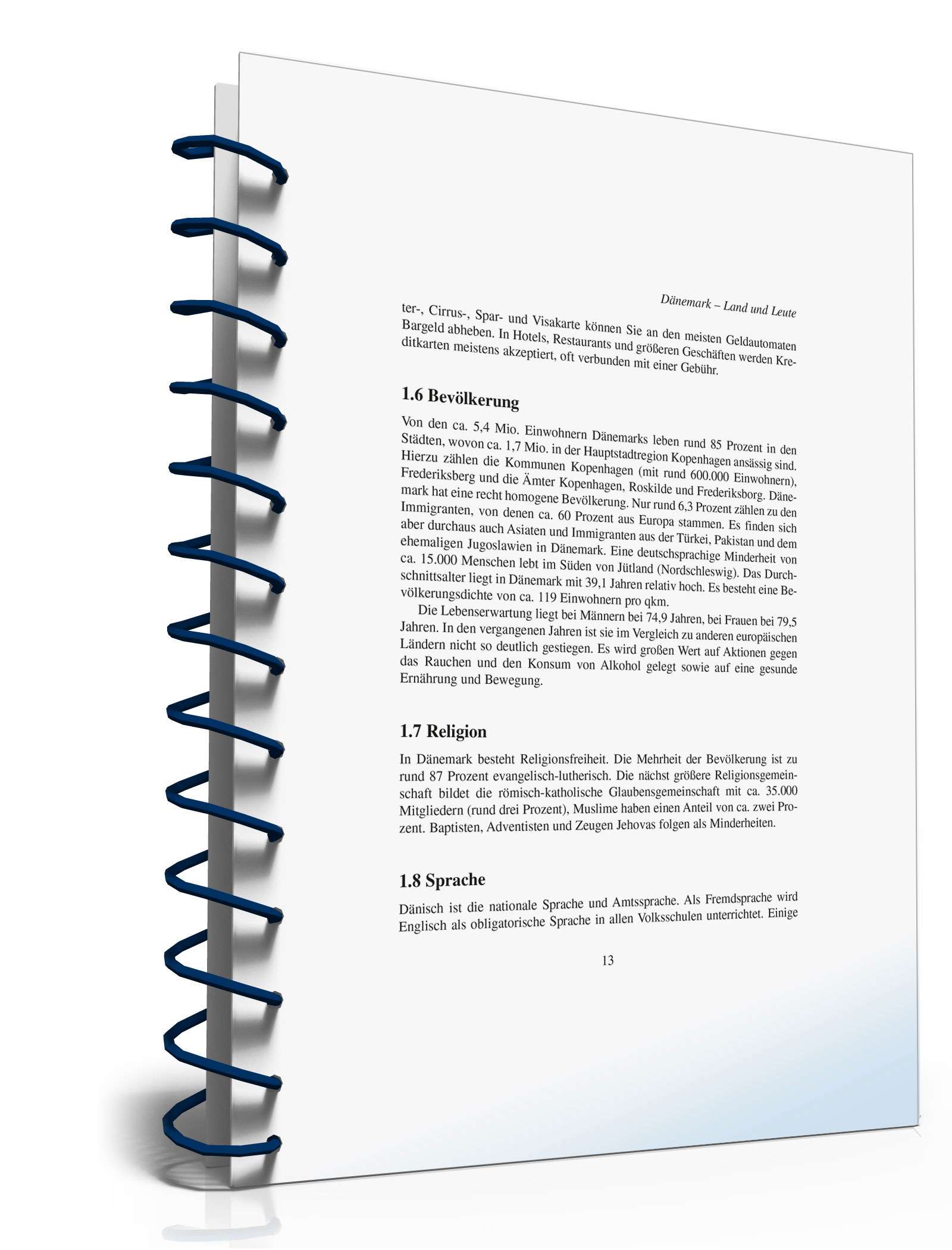 Leben und arbeiten in Dänemark PDF. Seite: 13