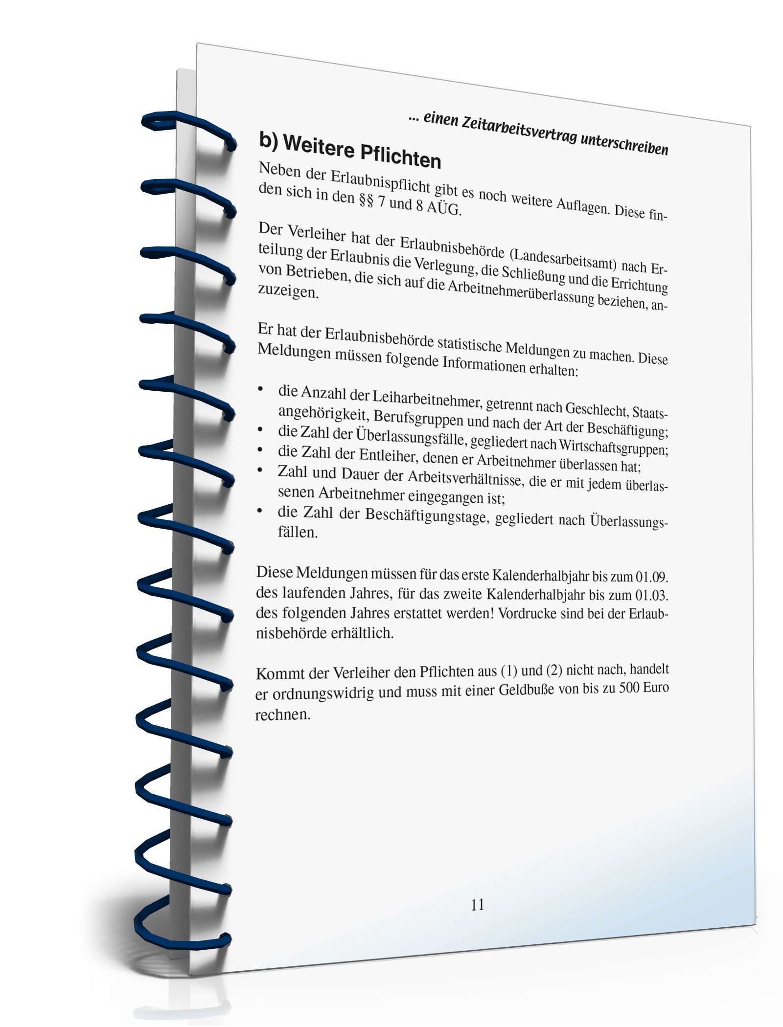 Abschluss Zeitarbeitsvertrag  PDF. Seite: 10