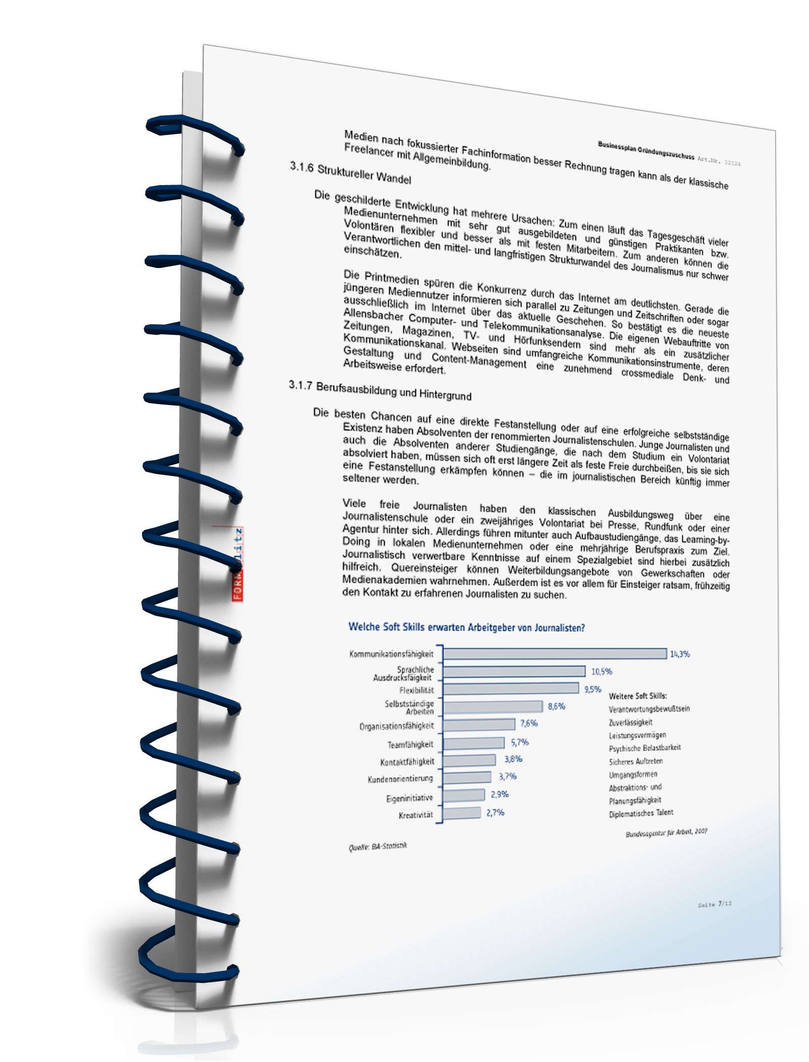 Businessplan für Freiberufler Excel. Seite: 9