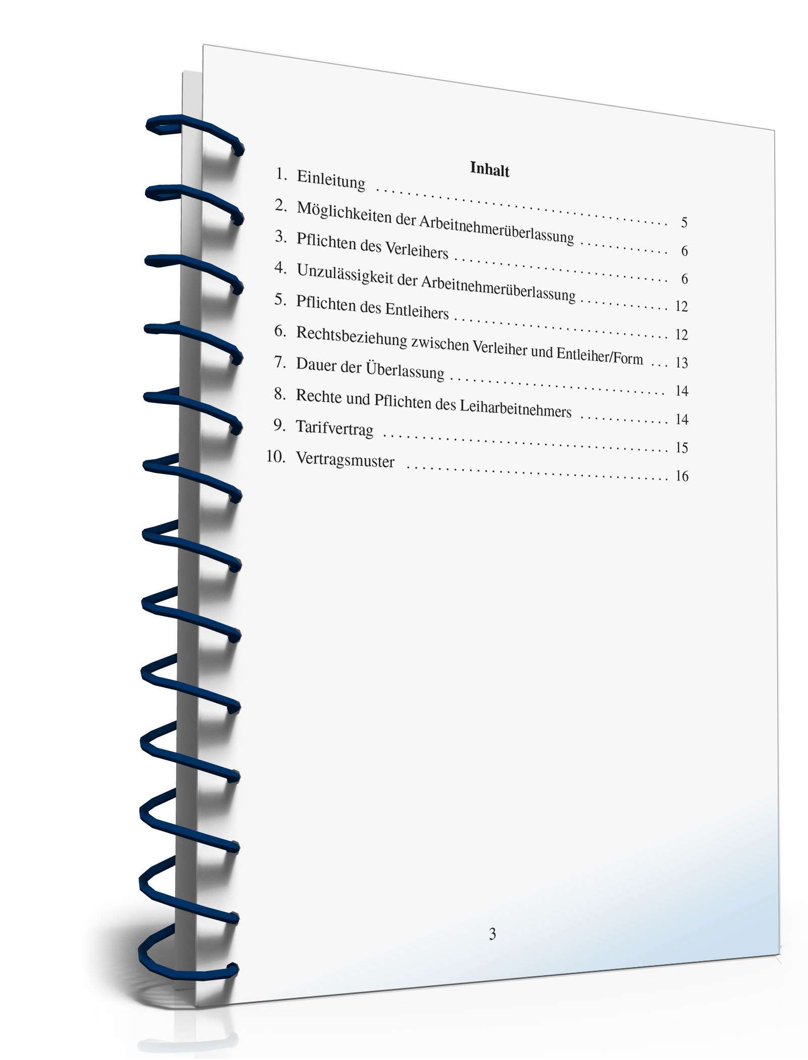 Abschluss Zeitarbeitsvertrag  PDF. Seite: 3