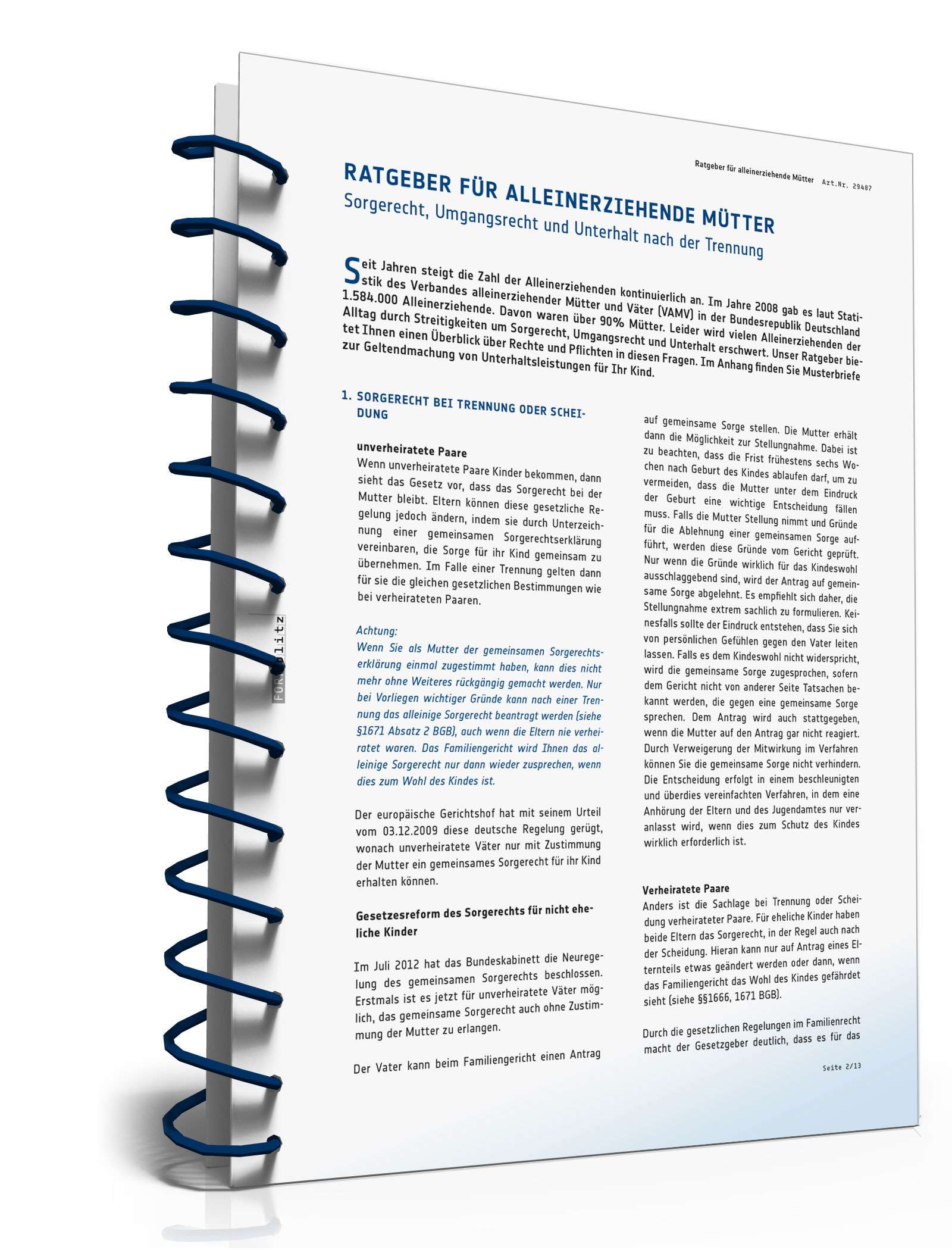 Ratgeber alleinerziehende Mutter PDF. Seite: 3