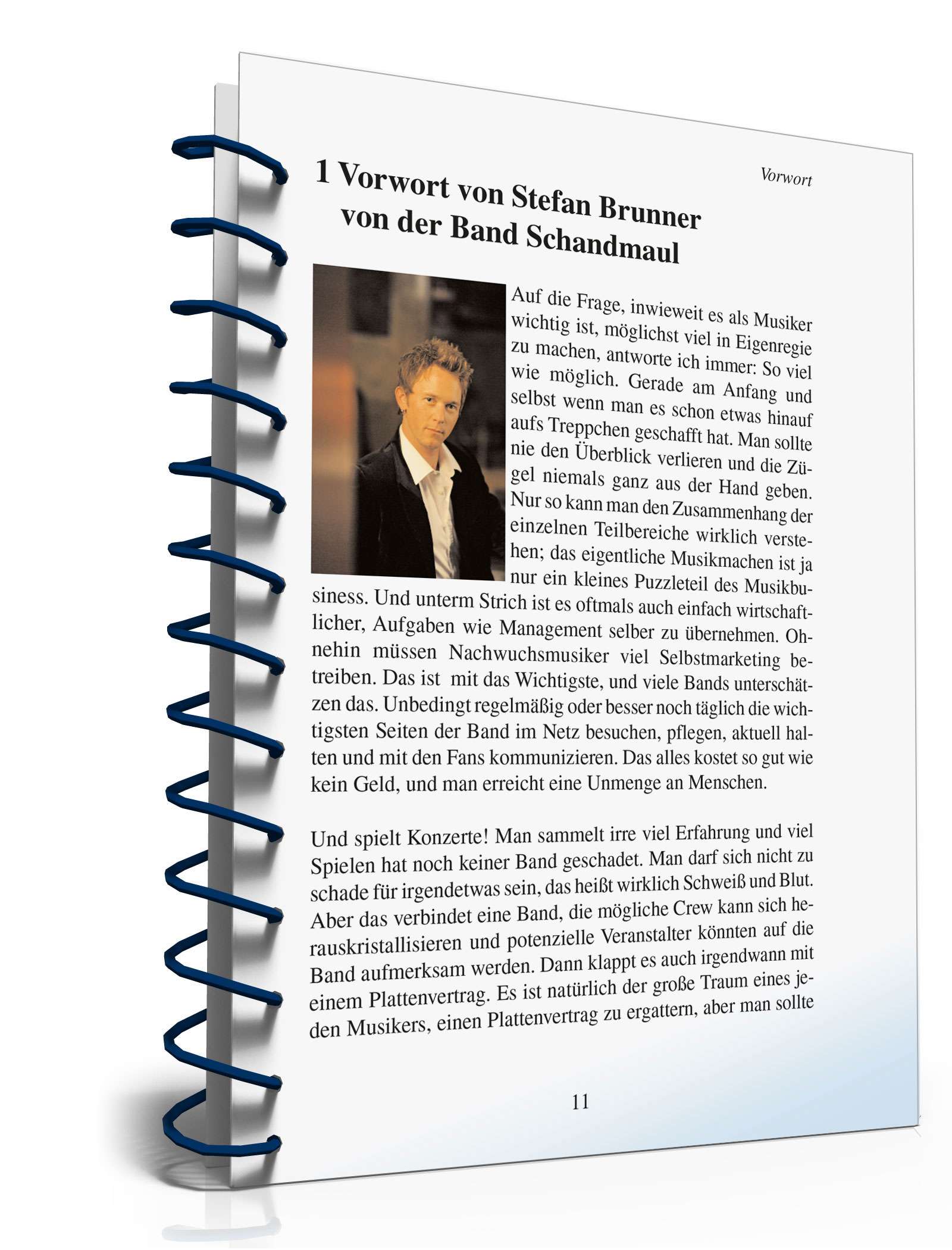 Ratgeber: Musikmanagement in der Praxis PDF