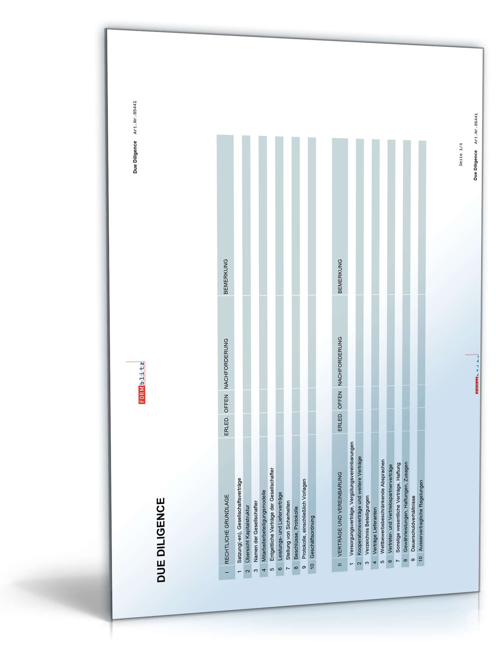 Due Diligence-Analyse Excel