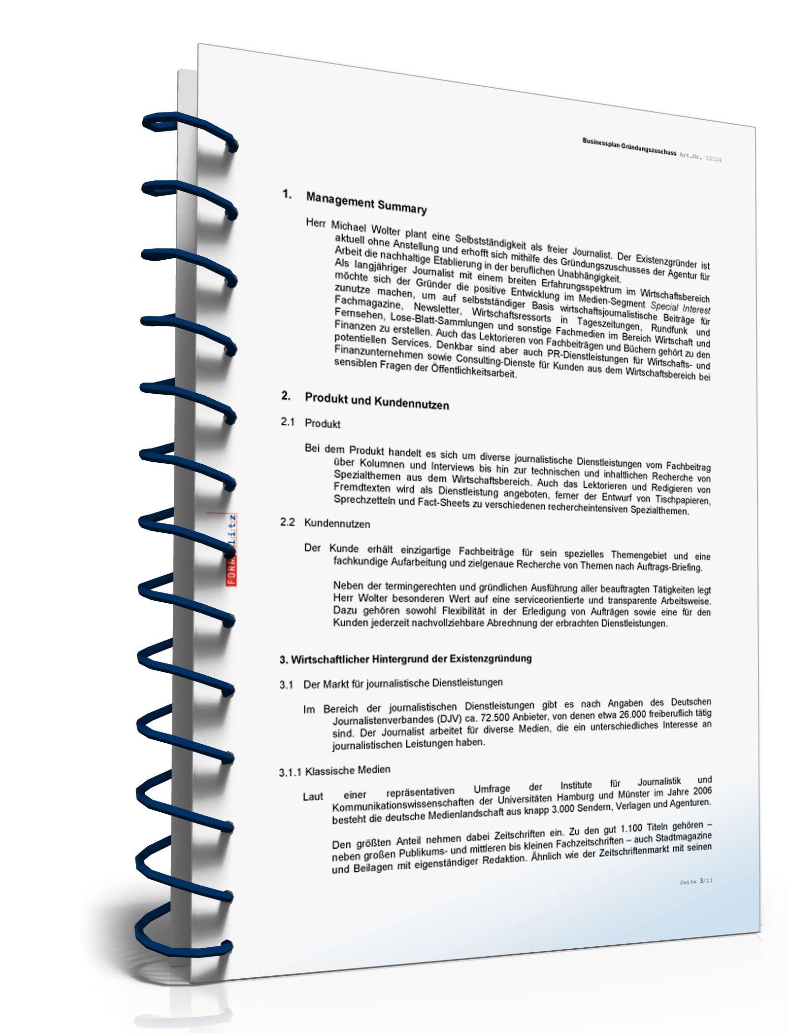 Businessplan für Freiberufler Excel. Seite: 5