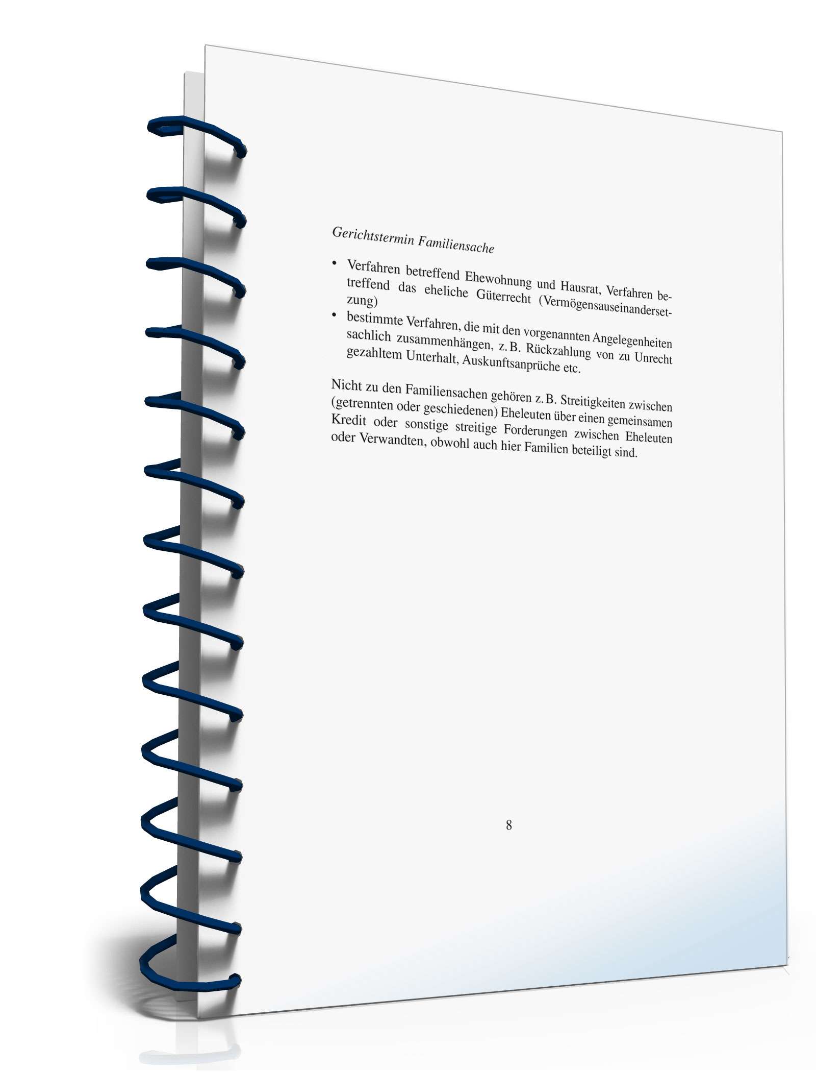 Ratgeber Gerichtstermin Familiensache PDF. Seite: 8