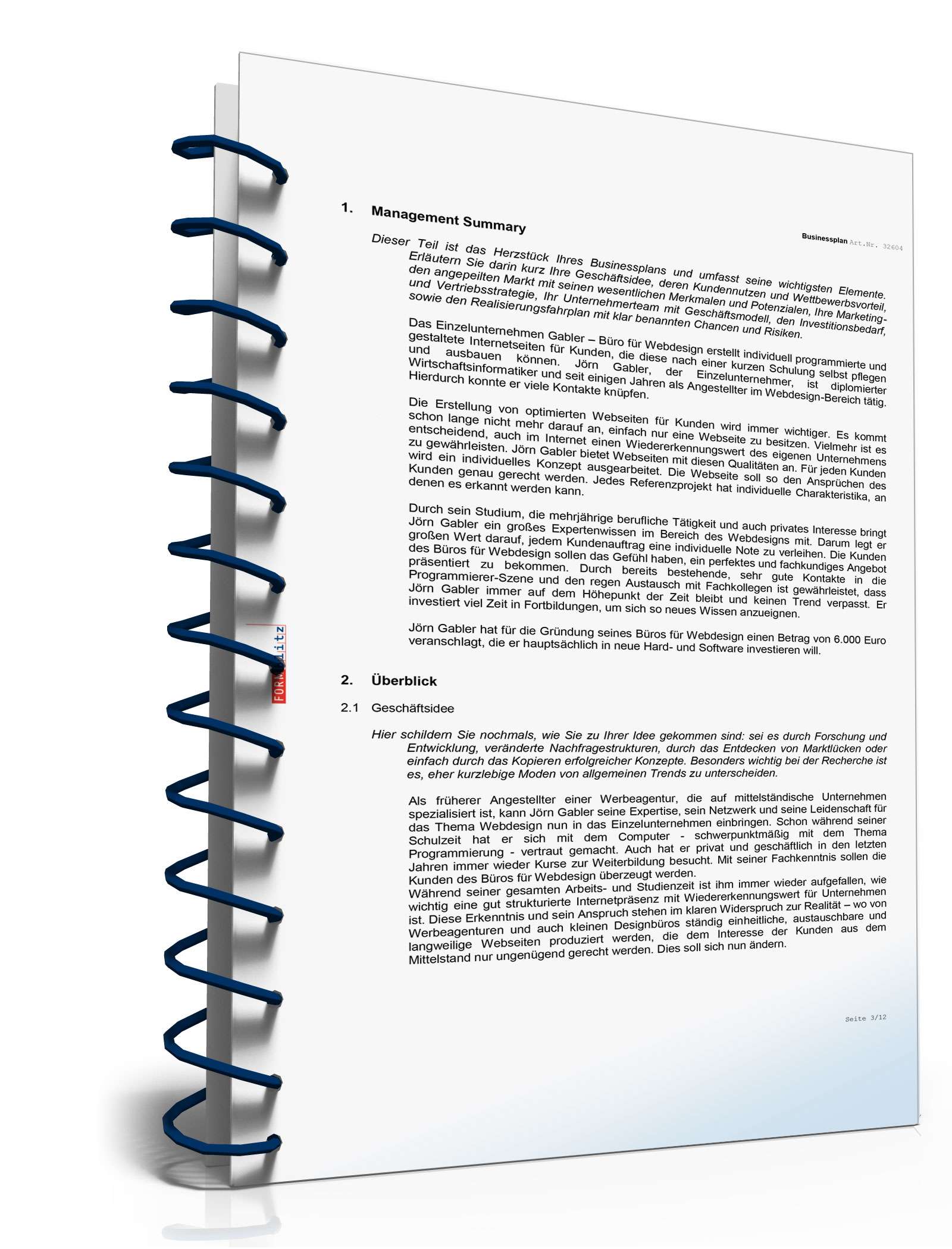 Businessplan Webdesign Excel. Seite: 3