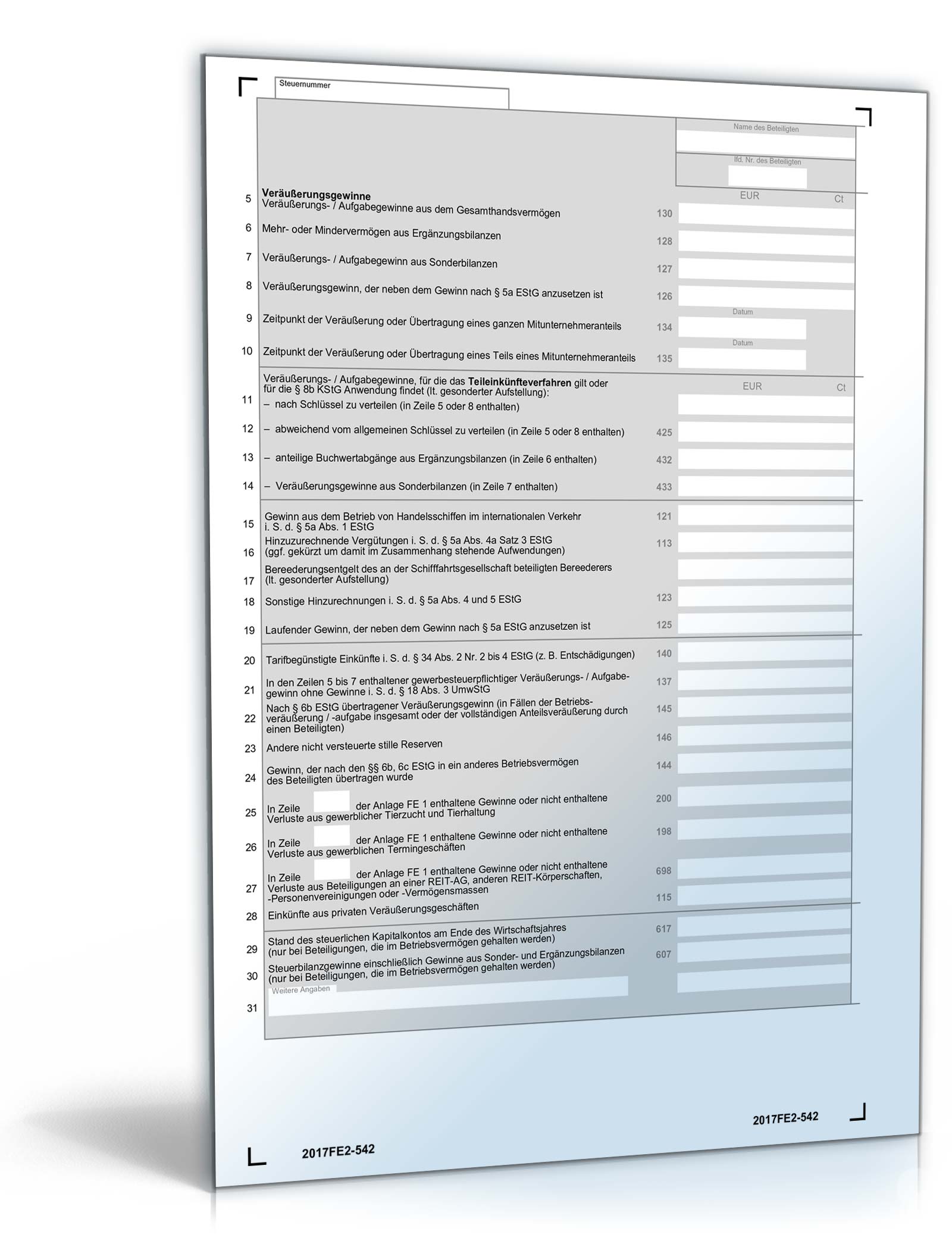Anlage FE 2 2017 PDF. Seite: 2