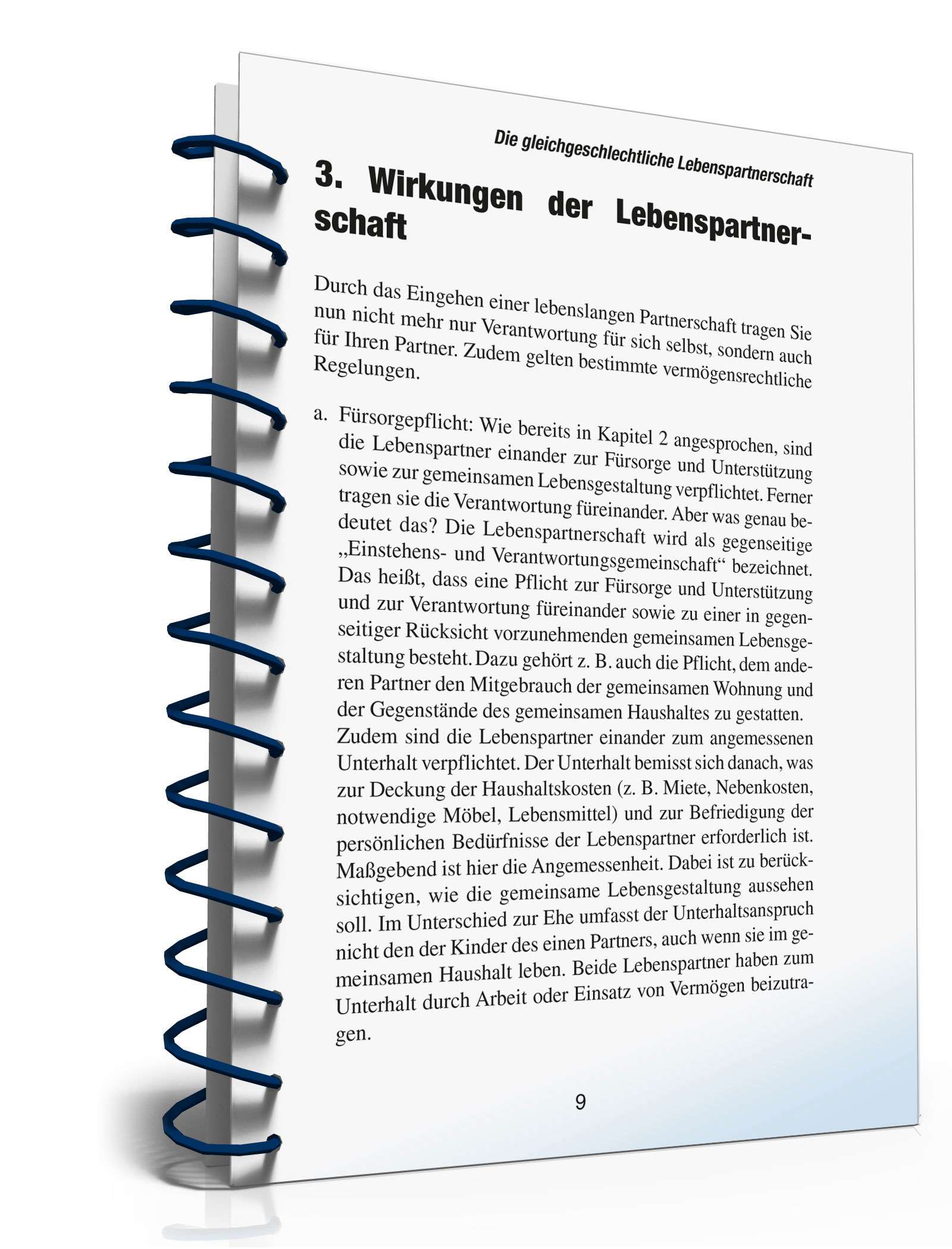 Ratgeber gleichgeschlechtliche Lebenspartnerschaft PDF. Seite: 9