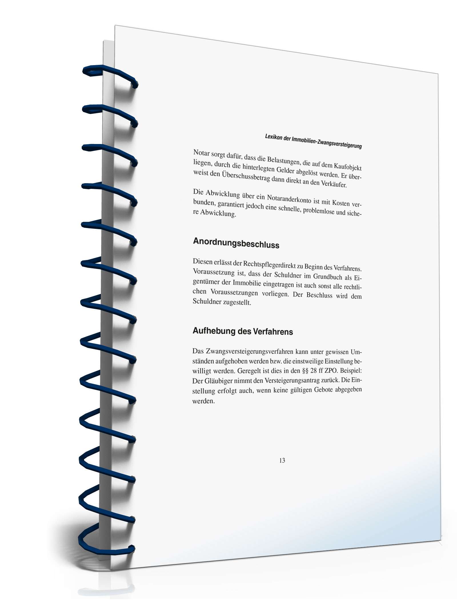 Zwangsversteigerung einer Immobilie PDF. Seite: 11