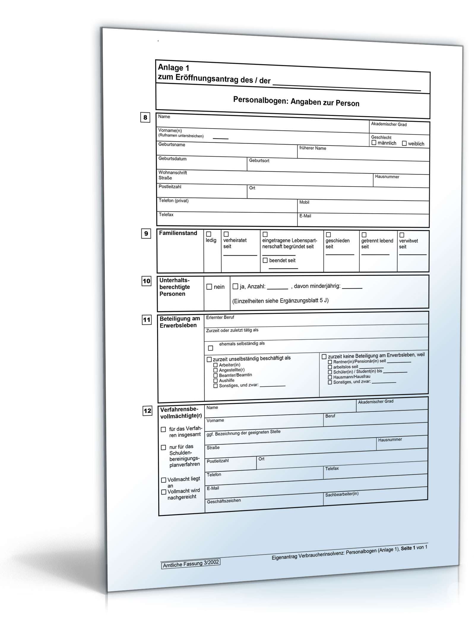 Vordrucke für das Verbraucherinsolvenzverfahren Excel. Seite: 3