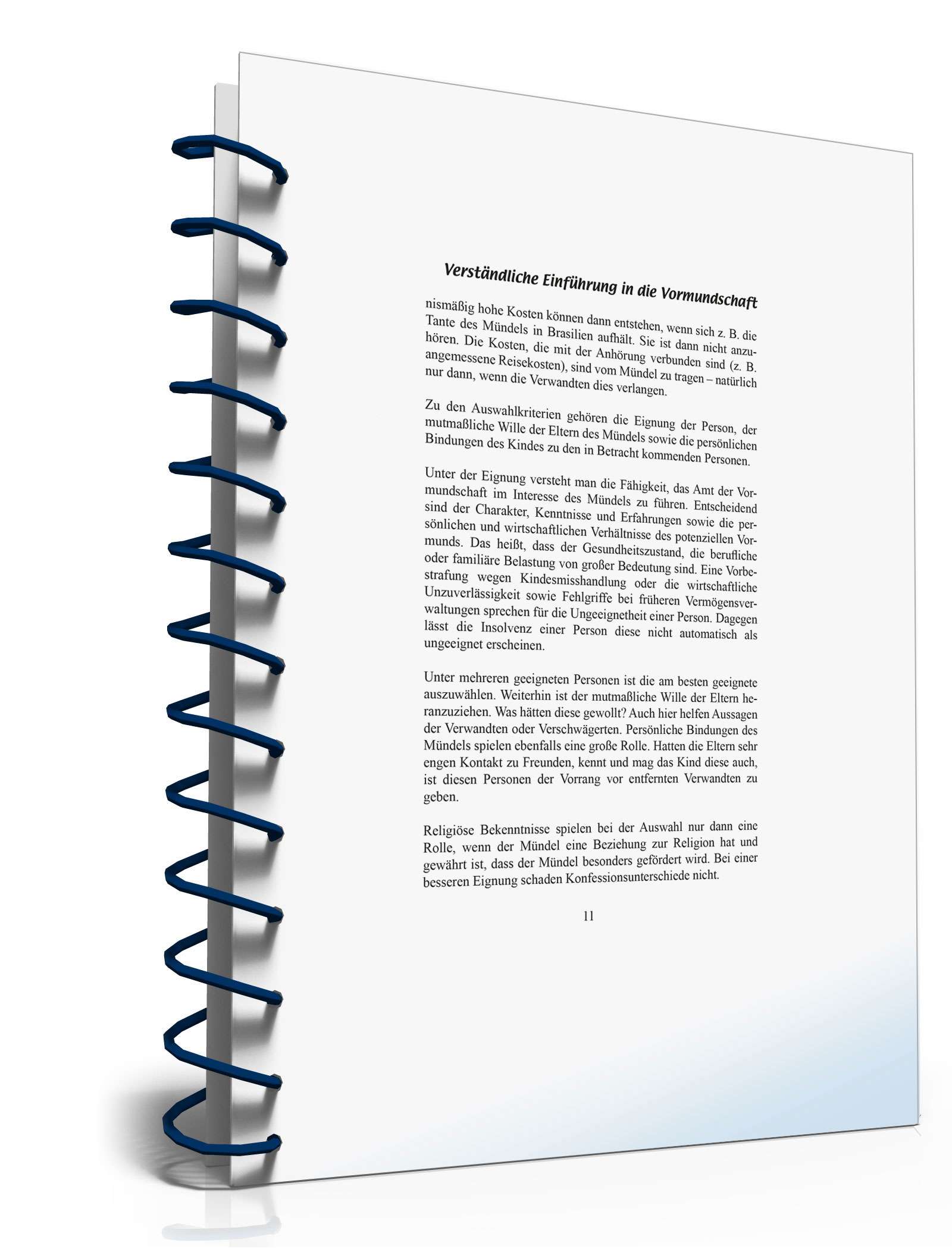 Ratgeber Vormundschaft PDF. Seite: 11