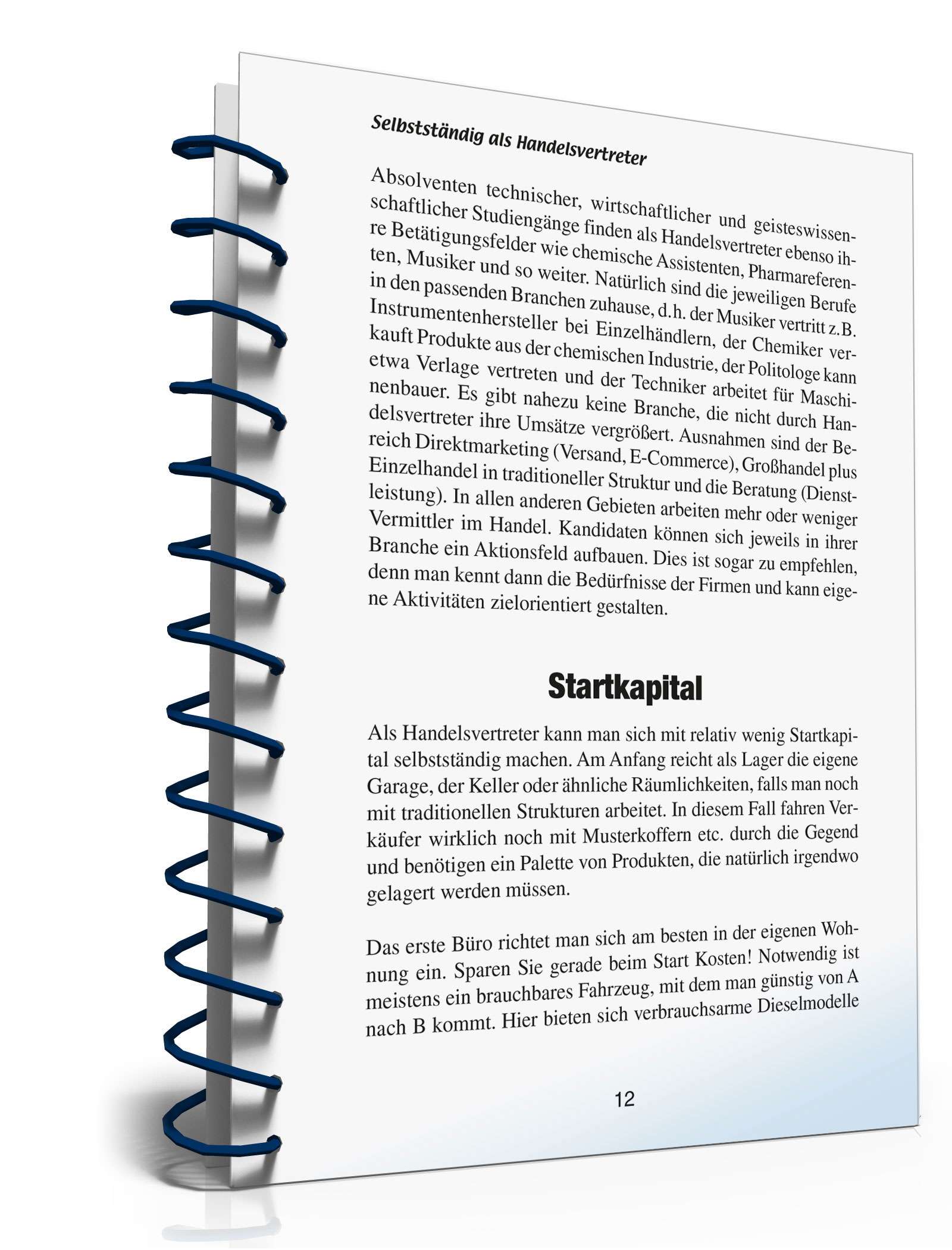 Selbstständig als Handelsvertreter PDF. Seite: 12