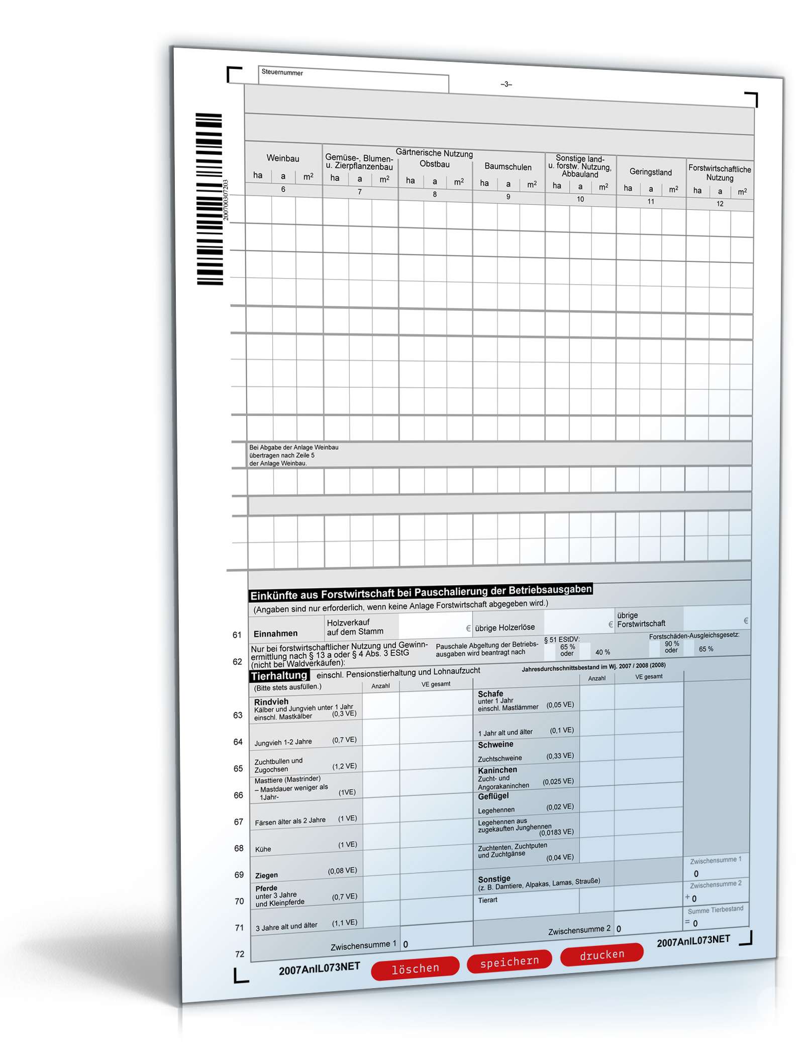 Anlage L 2007 PDF. Seite: 3