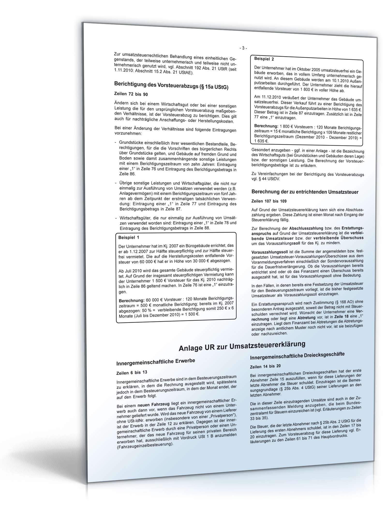 Umsatzsteuererklärung 2010  PDF. Seite: 7