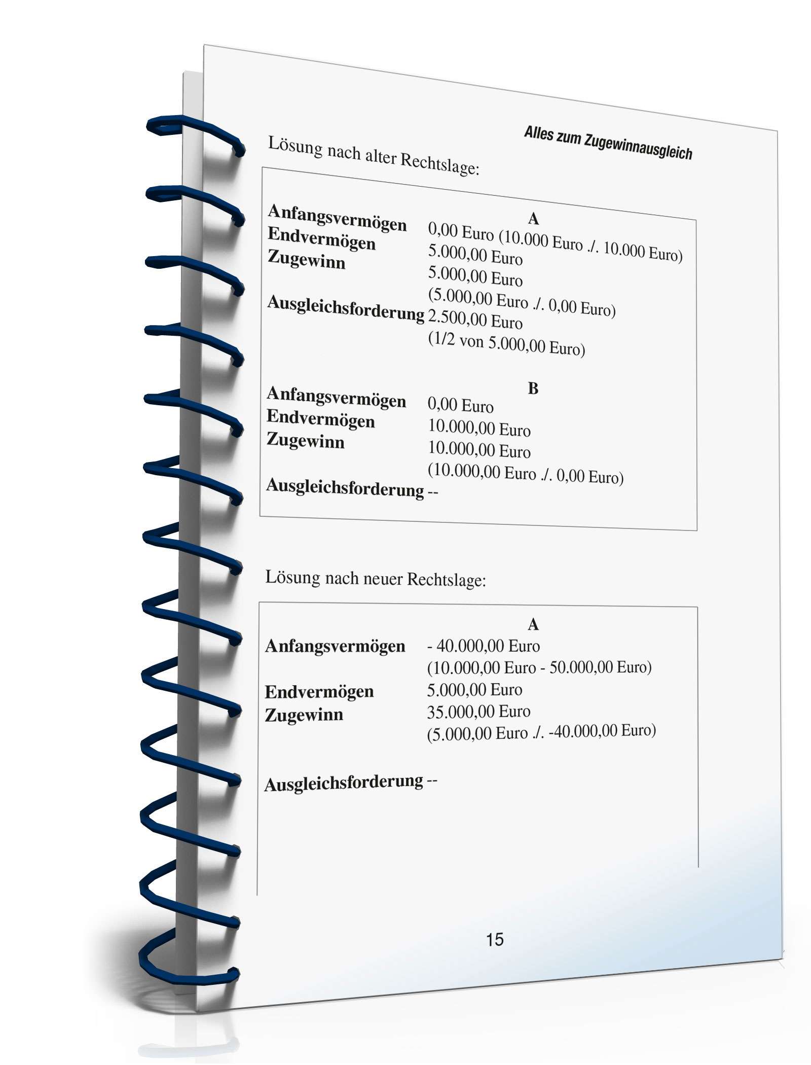 Ratgeber Eheliches Güterrecht PDF. Seite: 14