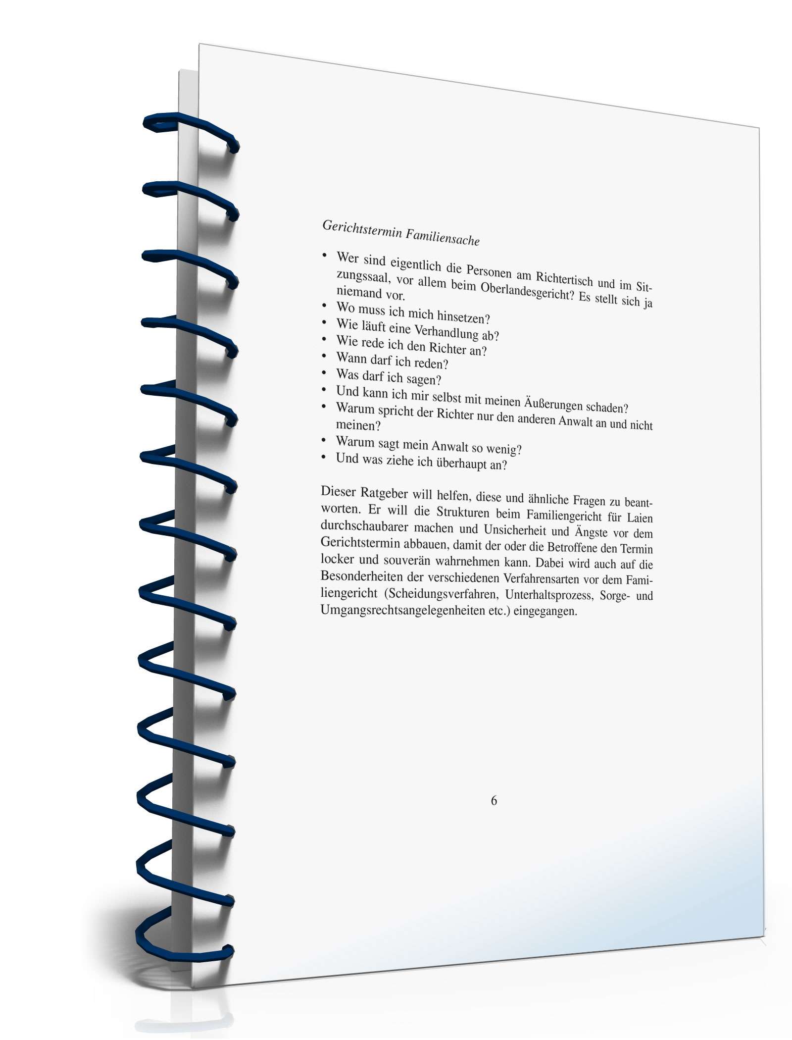 Ratgeber Gerichtstermin Familiensache PDF. Seite: 6