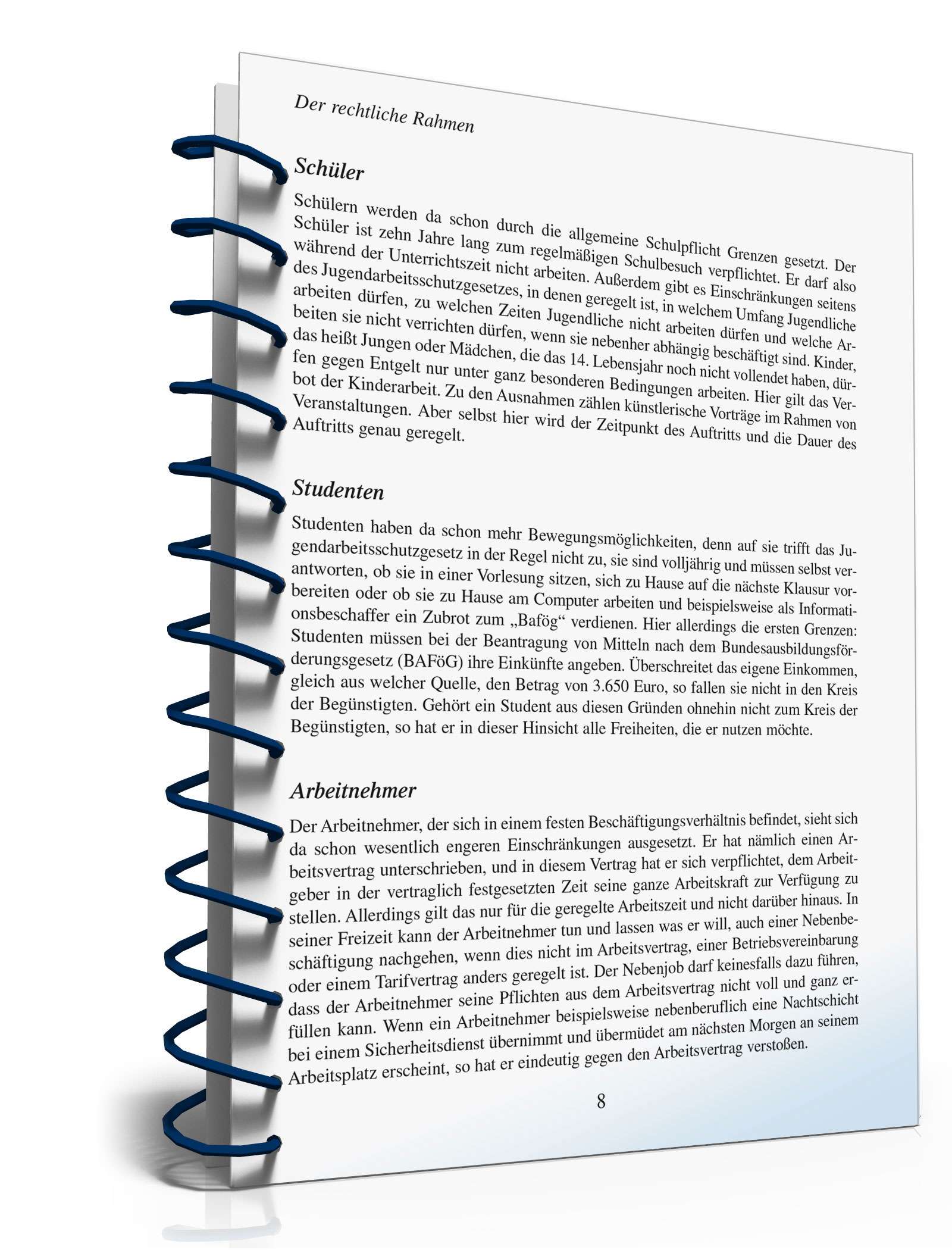 Zusatzverdienst-Ideen PDF. Seite: 9