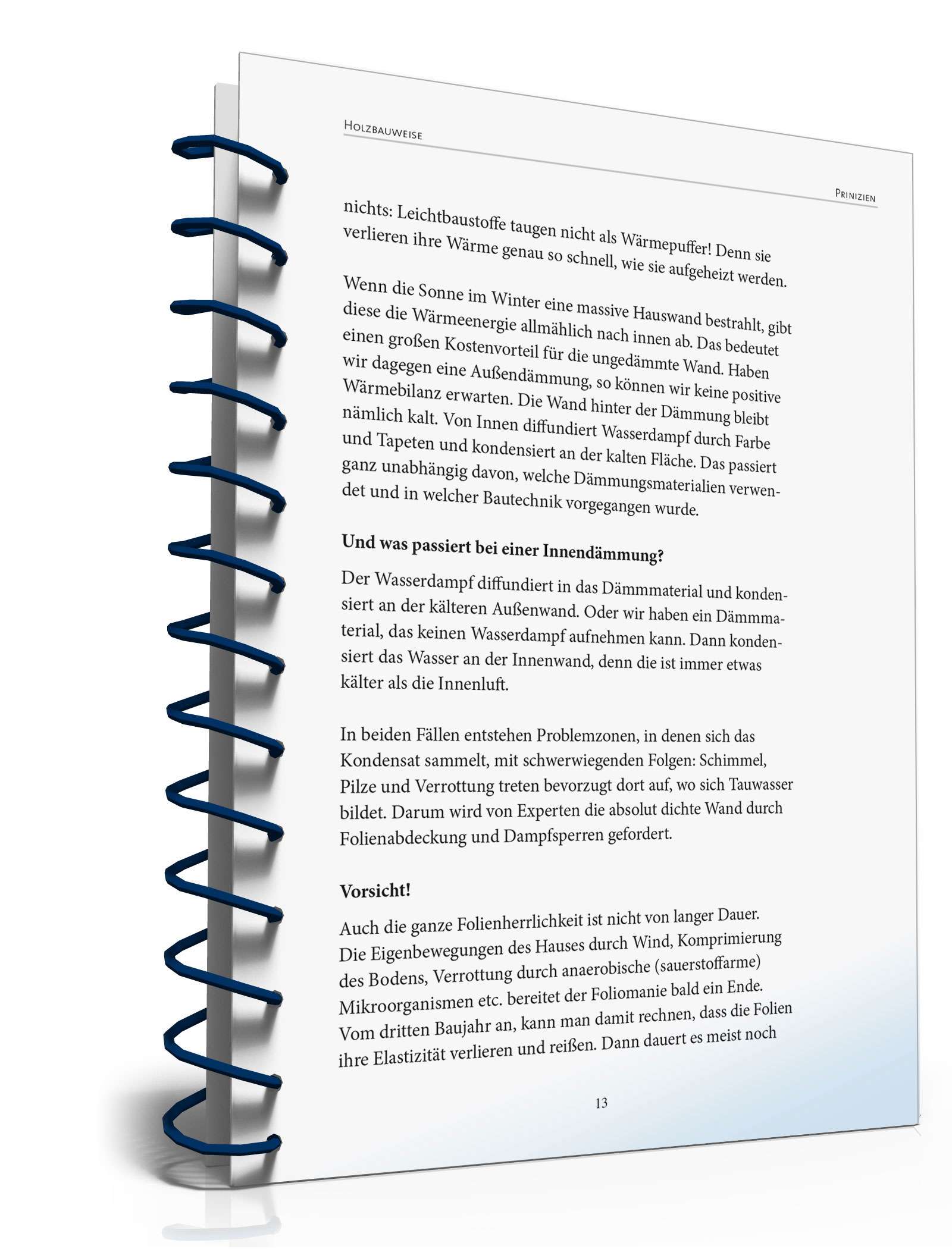 Ratgeber Bauen/Renovieren PDF. Seite: 13