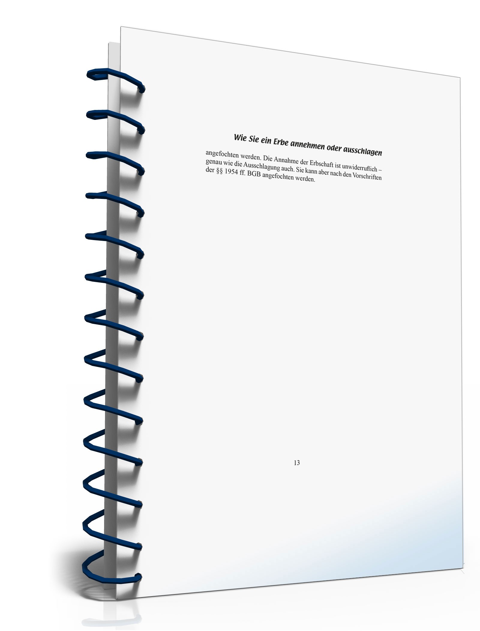 Ratgeber Annehmen/Ausschlagen Erbe  PDF. Seite: 13