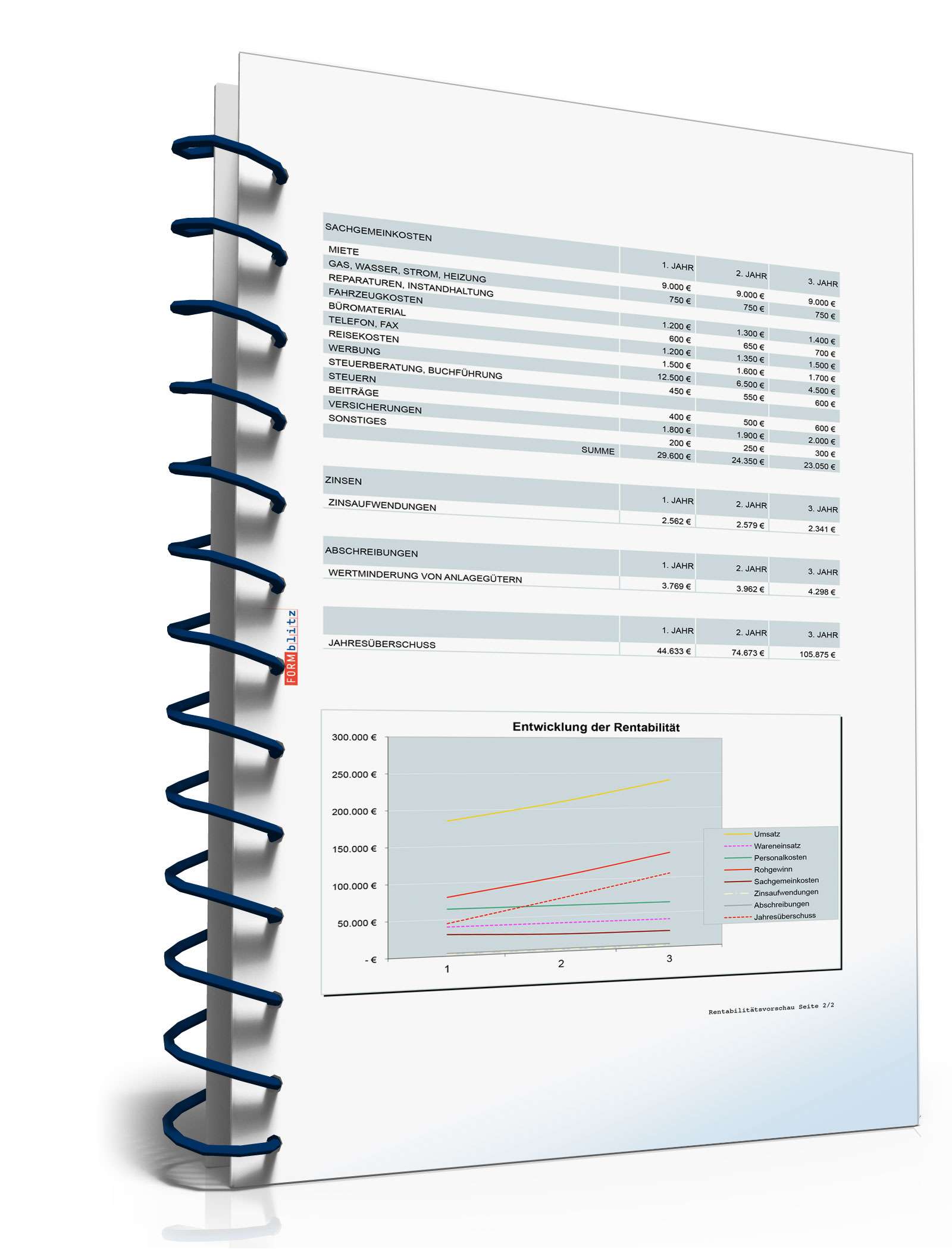 Businessplan Taxi-Unternehmer Excel. Seite: 13