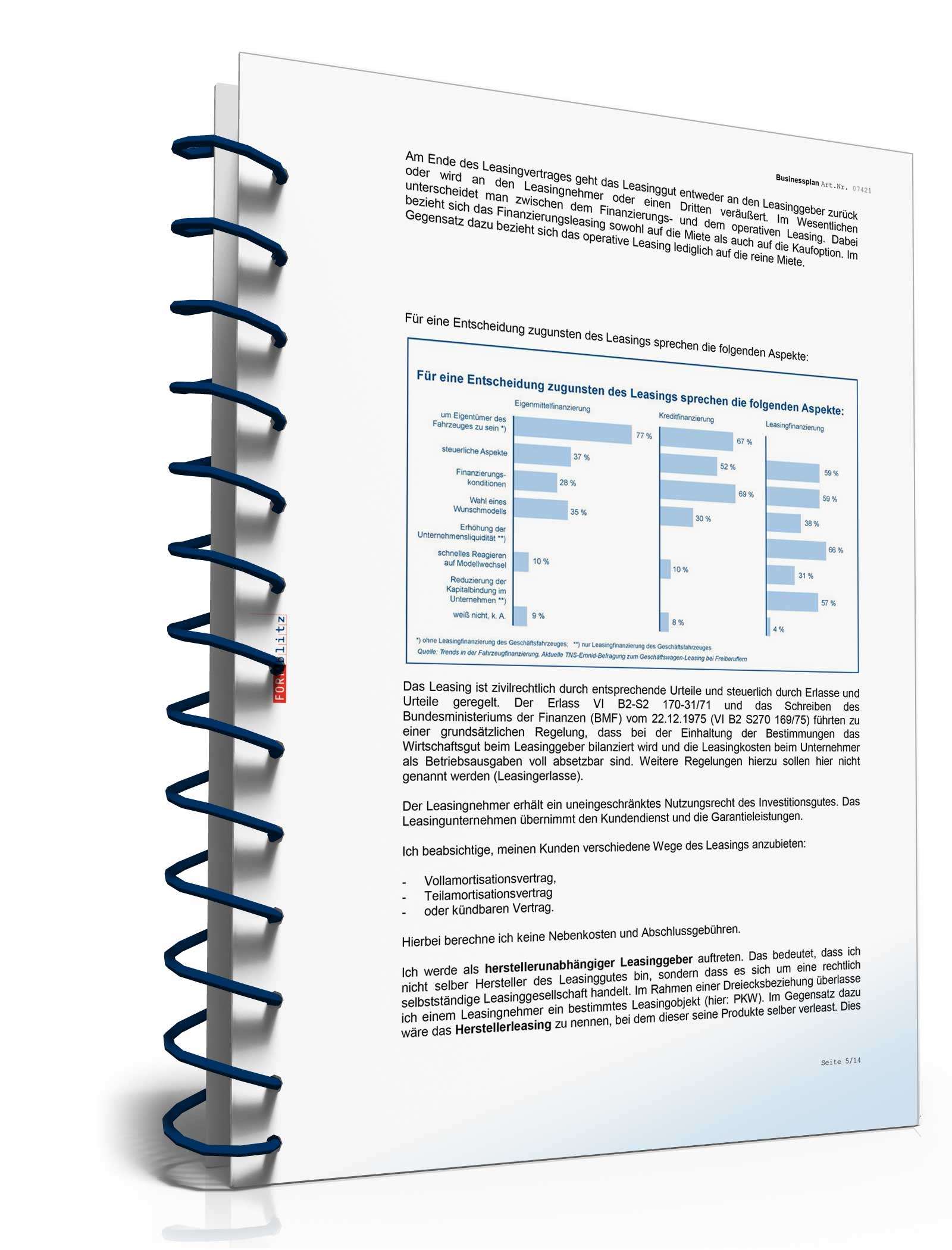 Businessplan für ein Leasingunternehmen Excel. Seite: 8