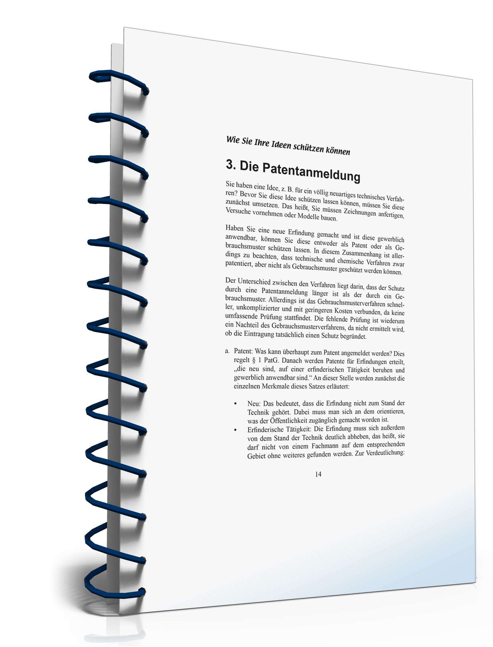 Wie Sie Ihre Ideen schützen können PDF. Seite: 14