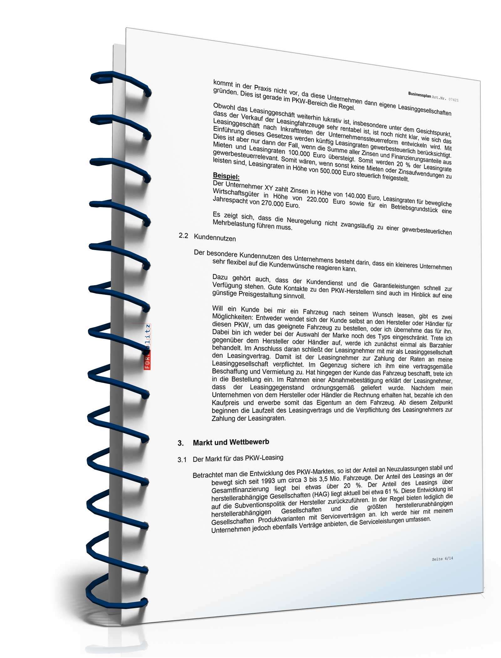 Businessplan für ein Leasingunternehmen Excel. Seite: 9