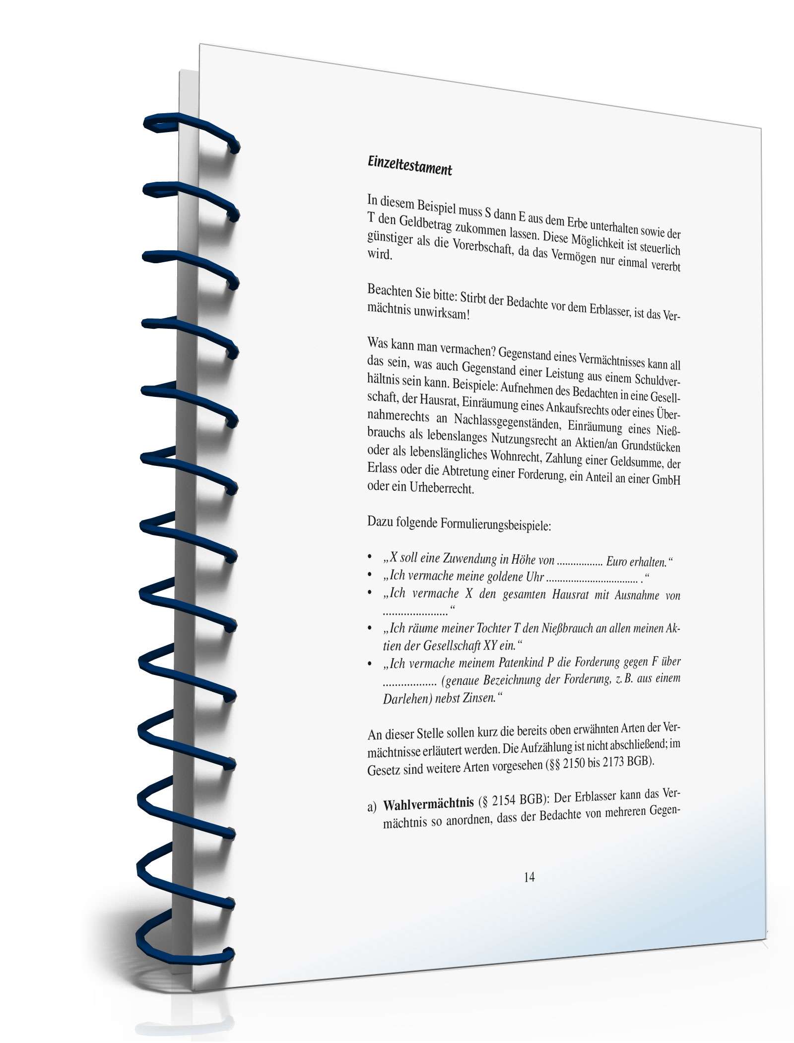 Ratgeber Einzeltestament  PDF. Seite: 13