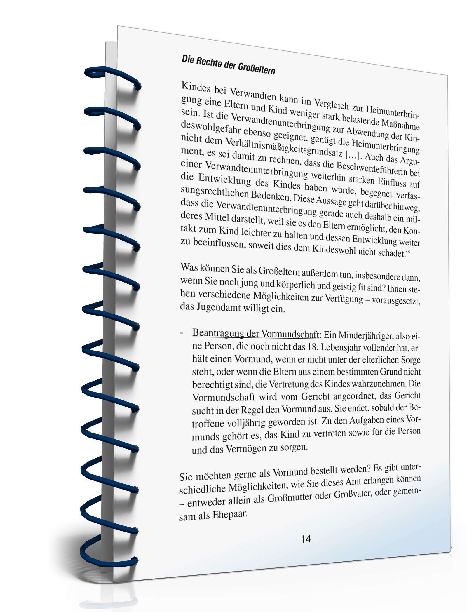 Ratgeber Recht Großeltern PDF. Seite: 13