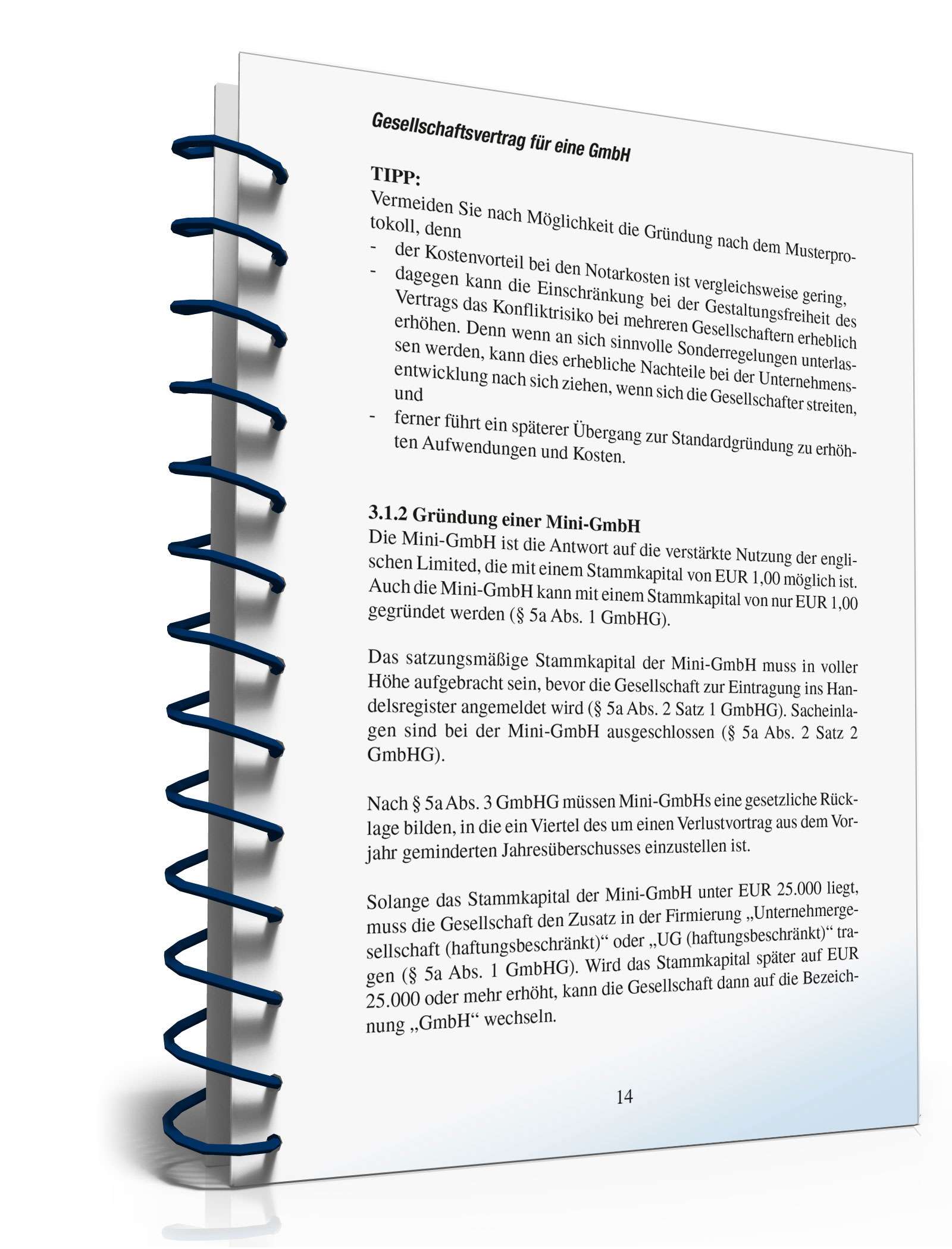 Ratgeber Gesellschaftsvertrag GmbH PDF. Seite: 13