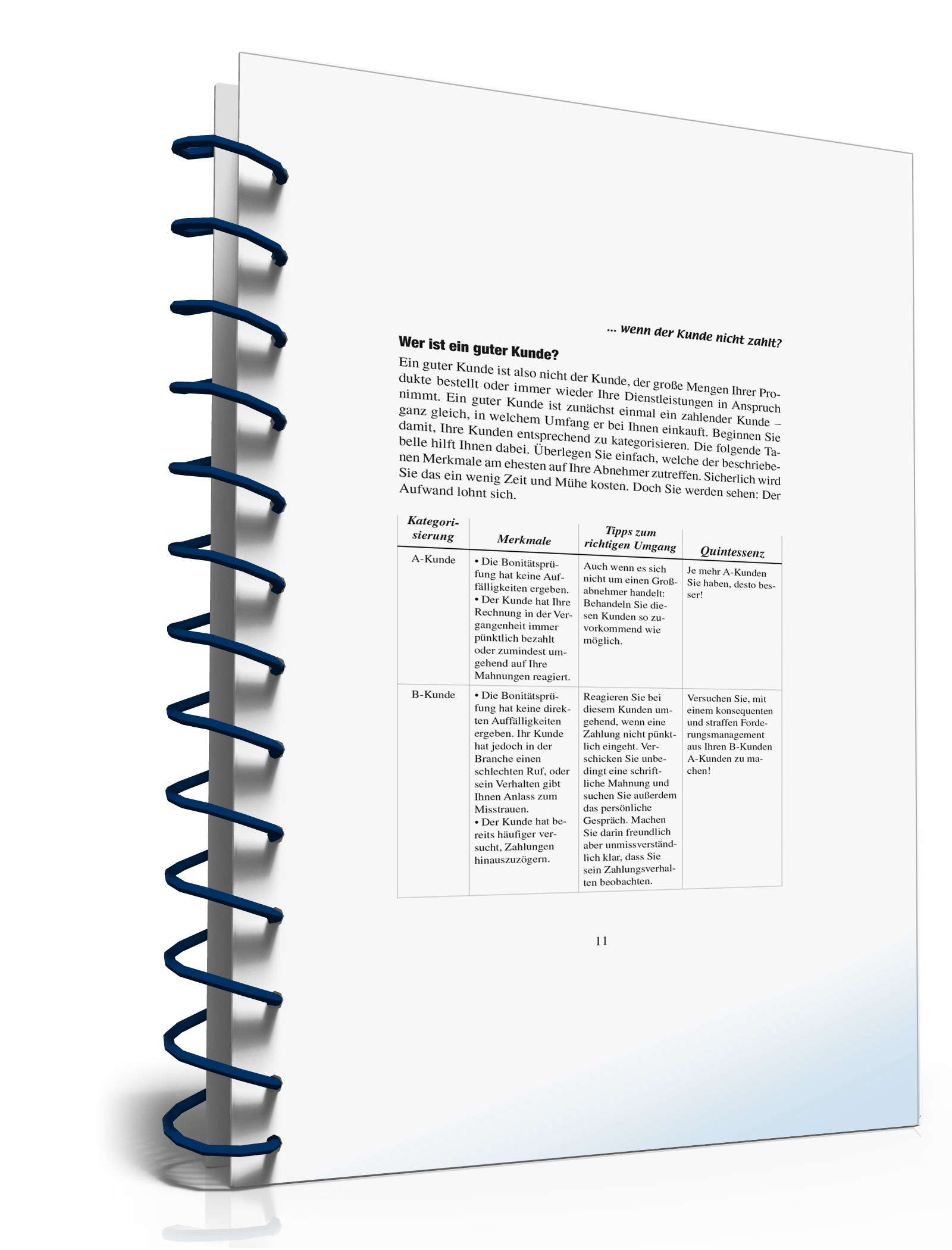 Ratgeber zahlungsunwilliger Kunde PDF. Seite: 11