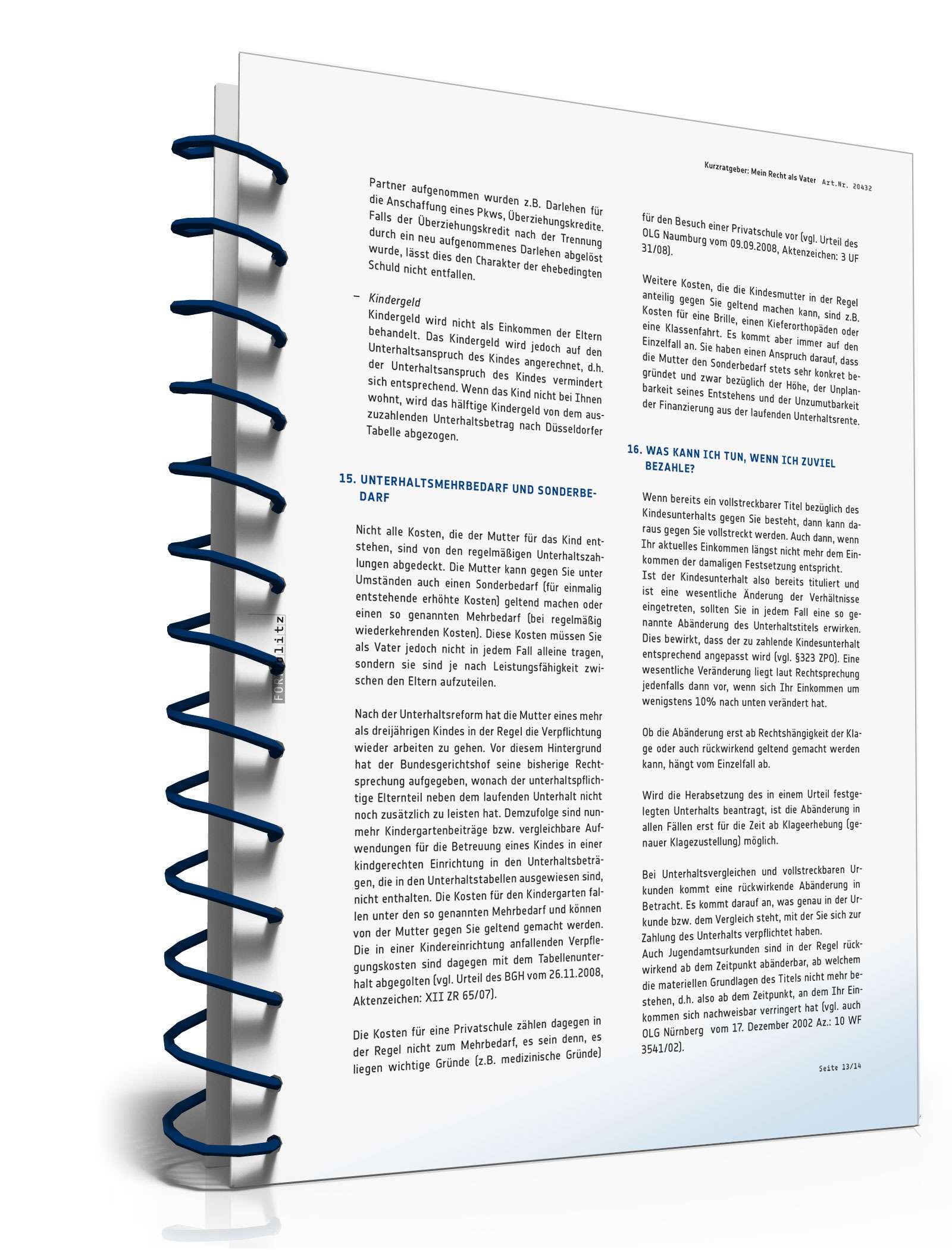 Mein Recht als Vater PDF. Seite: 13