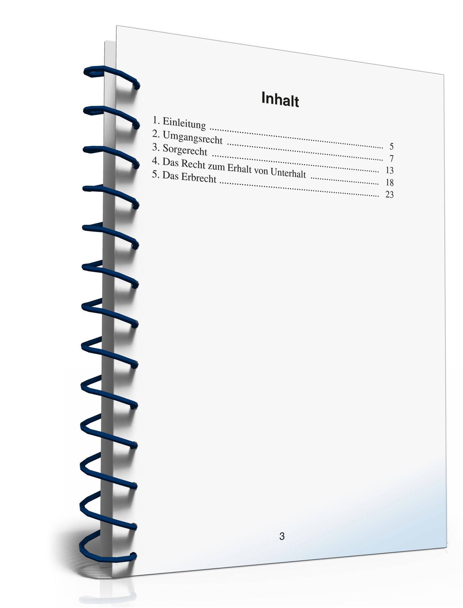 Ratgeber Recht Großeltern PDF. Seite: 3