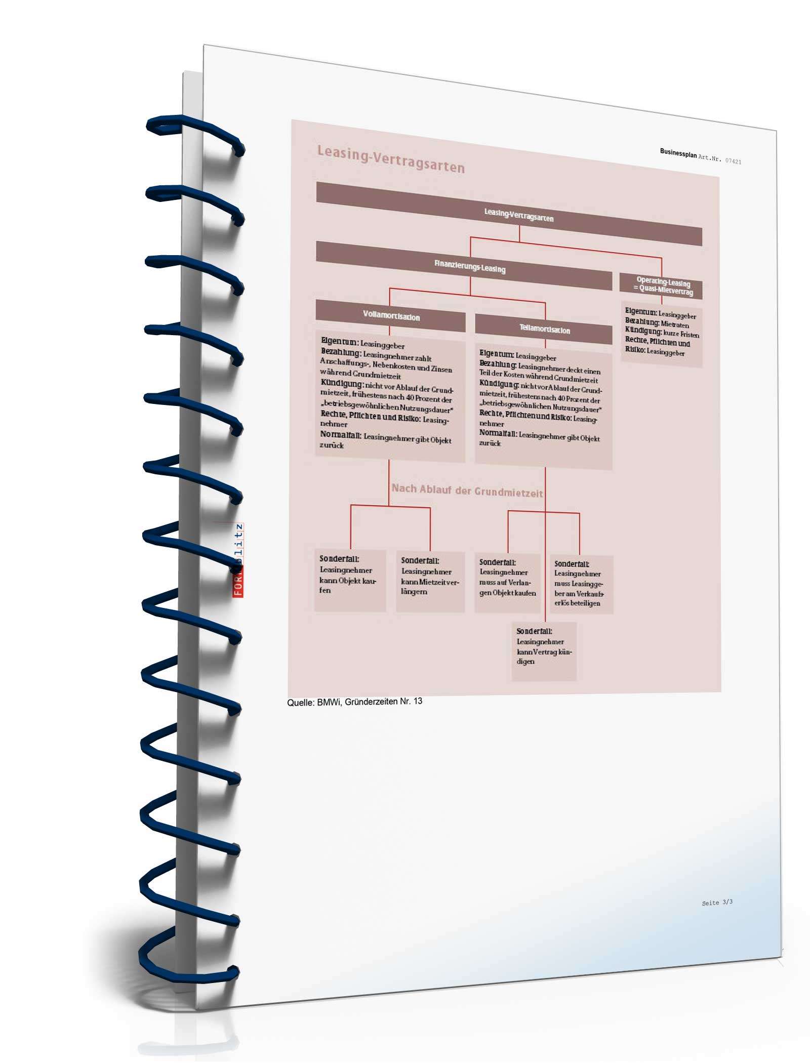 Businessplan für ein Leasingunternehmen Excel. Seite: 21