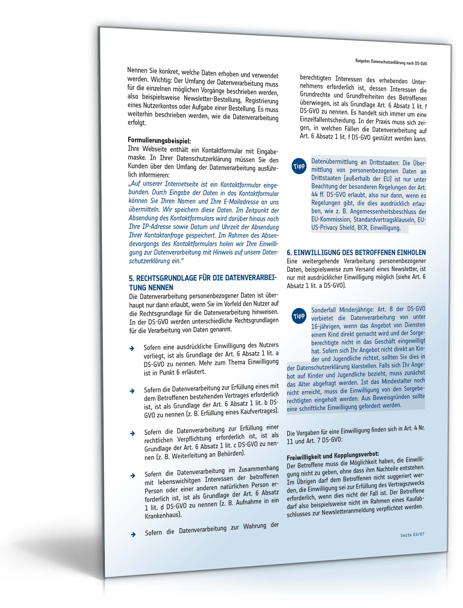 Ratgeber Datenschutzerklärung DSGVO PDF. Seite: 3