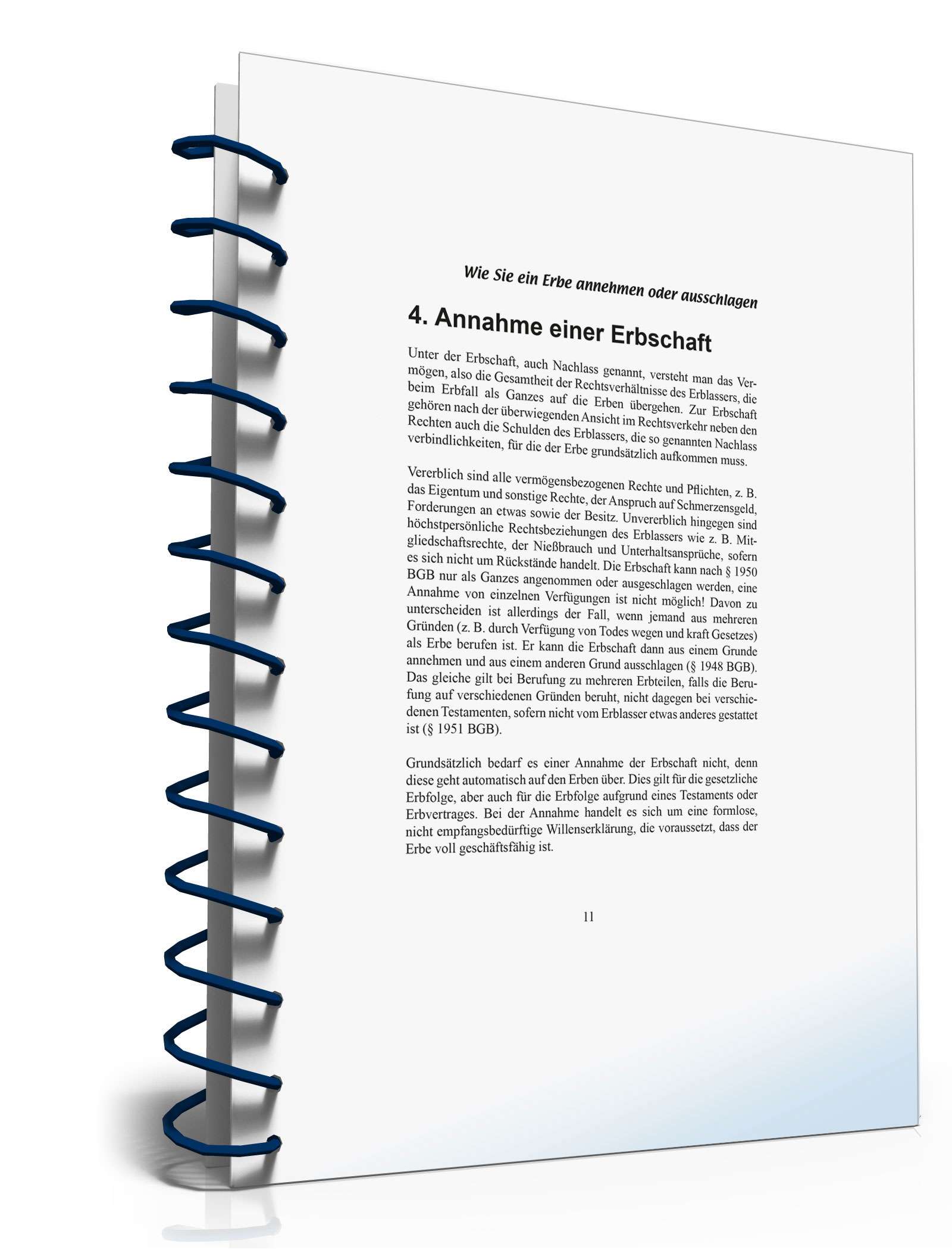 Ratgeber Annehmen/Ausschlagen Erbe  PDF. Seite: 11