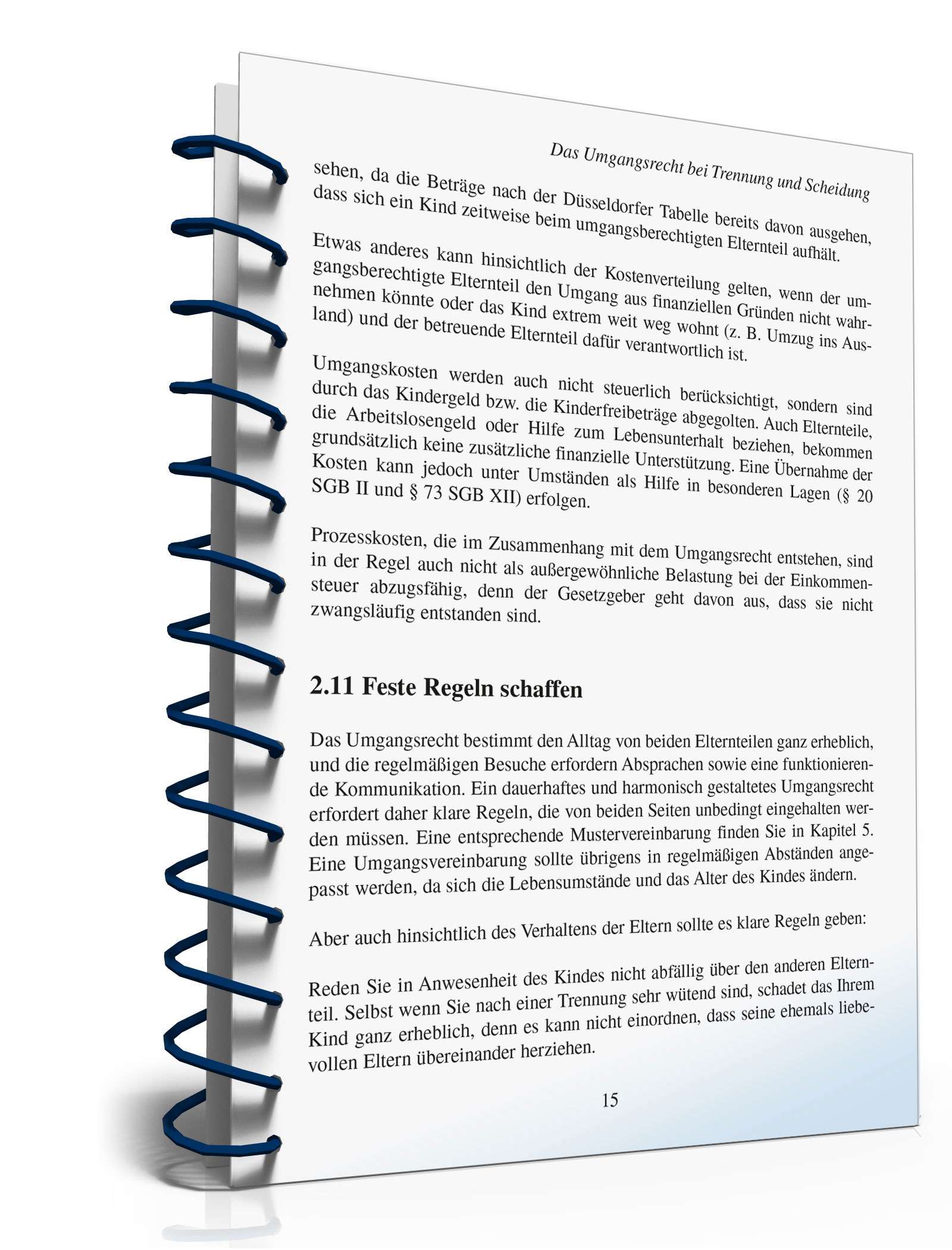 Ratgeber Umgangsrecht Trennung/Scheidung PDF. Seite: 14