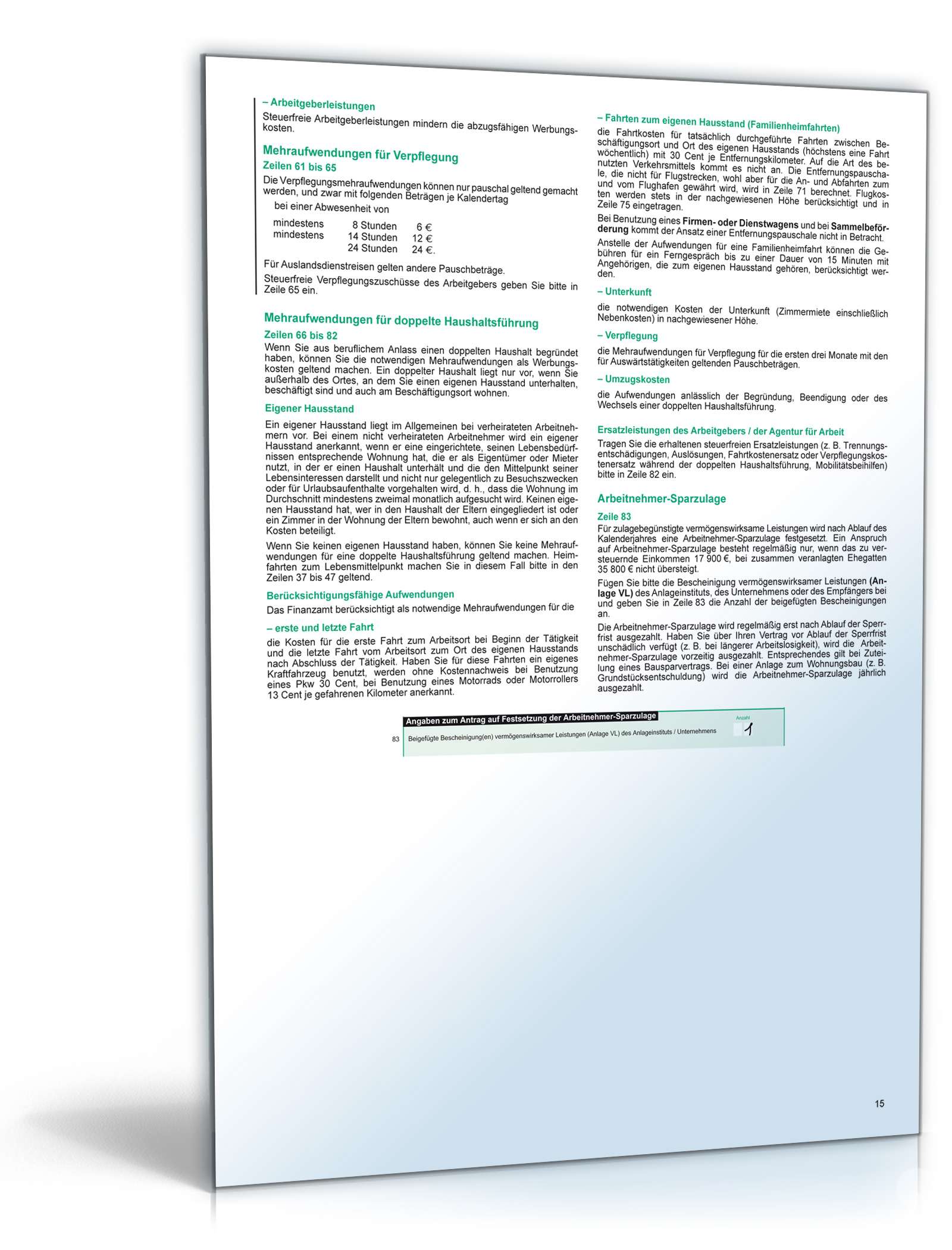 Einkommensteuererklärung 2008 PDF. Seite: 19